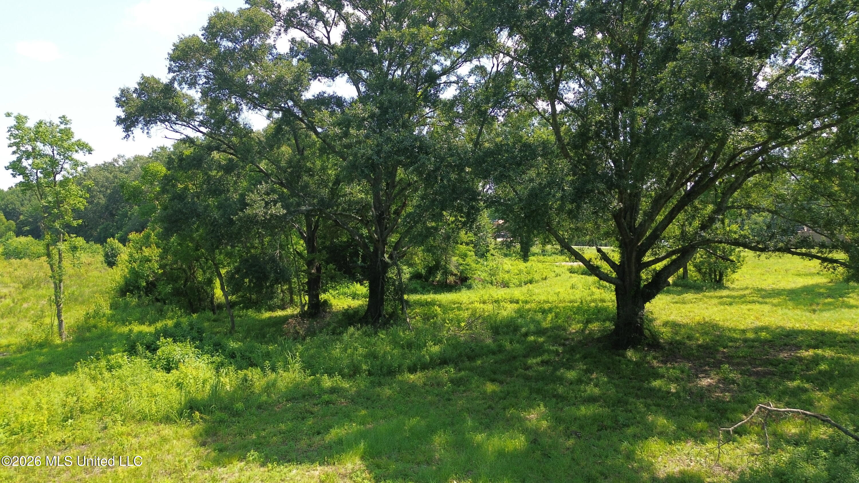 00 U.s. Highway 51 Property Photo 9