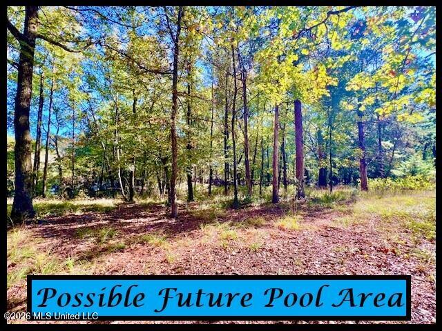 3709 Lyles Drive Property Photo 50