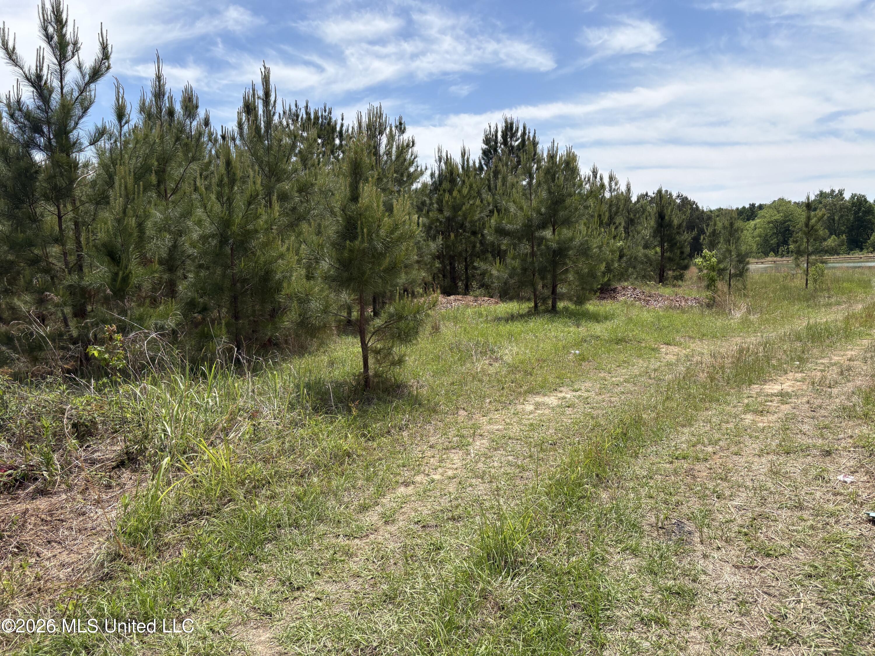 Finney Road Property Photo 8