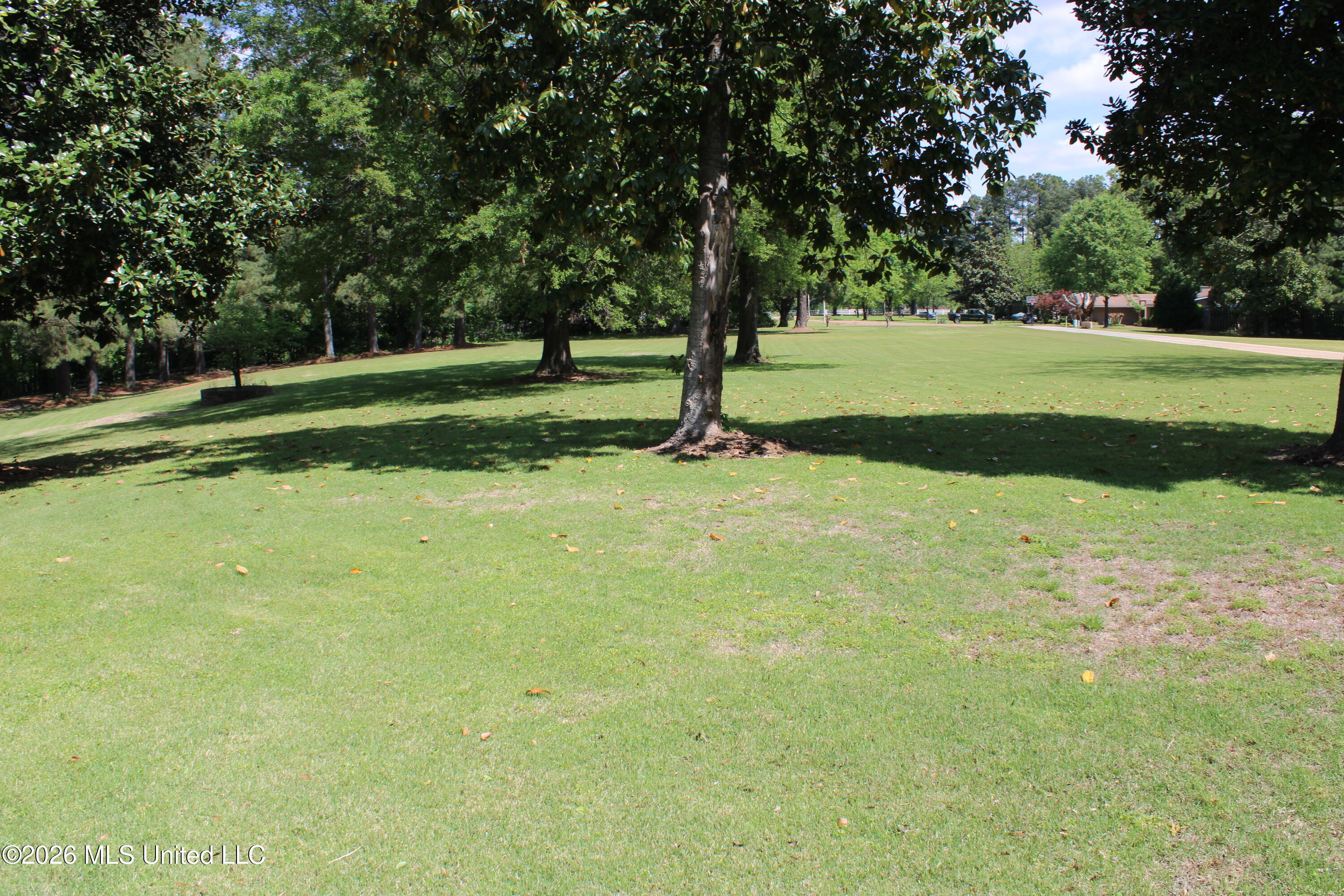 220 Flushing Cove Property Photo 43