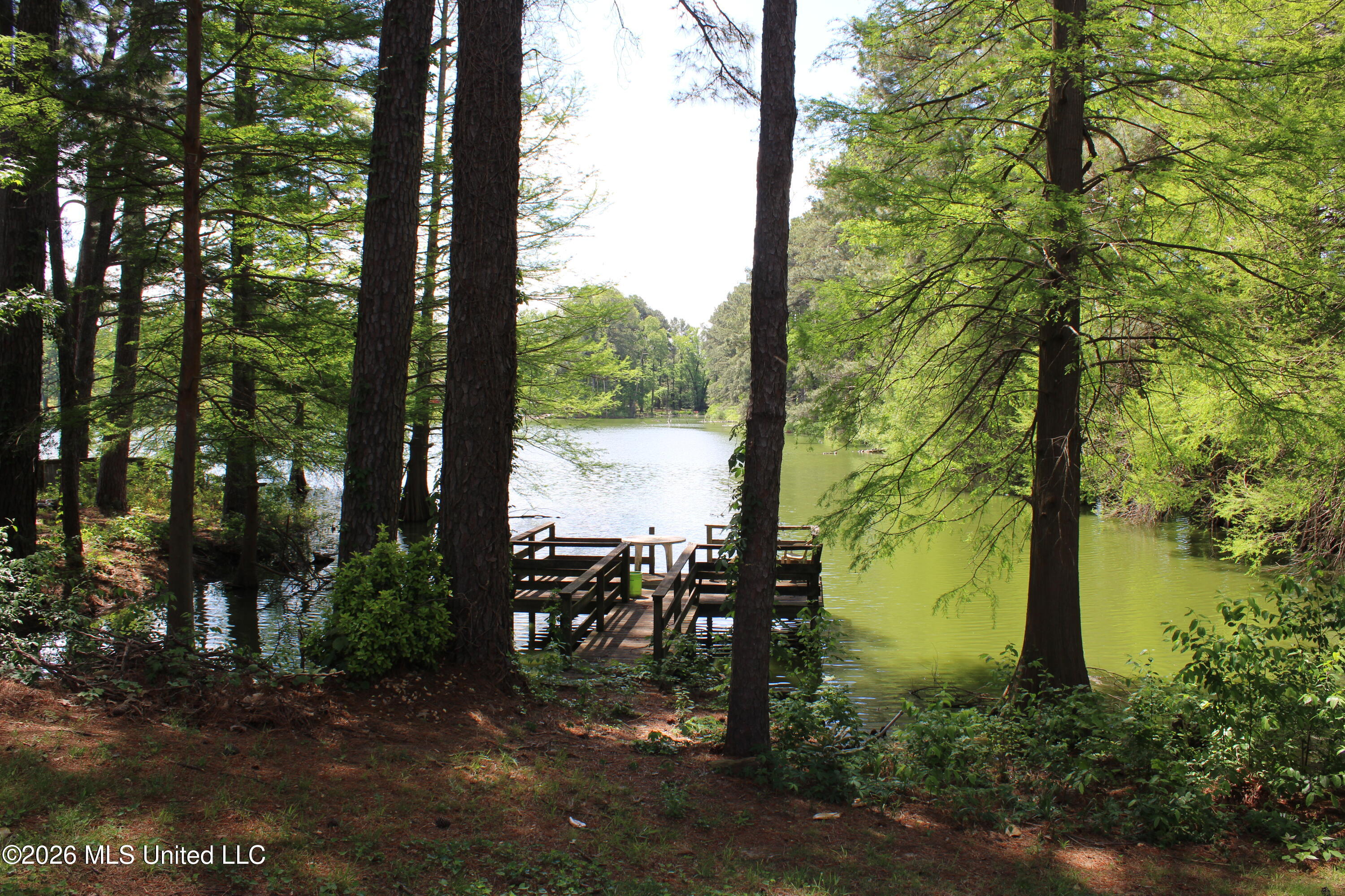 220 Flushing Cove Property Photo 47