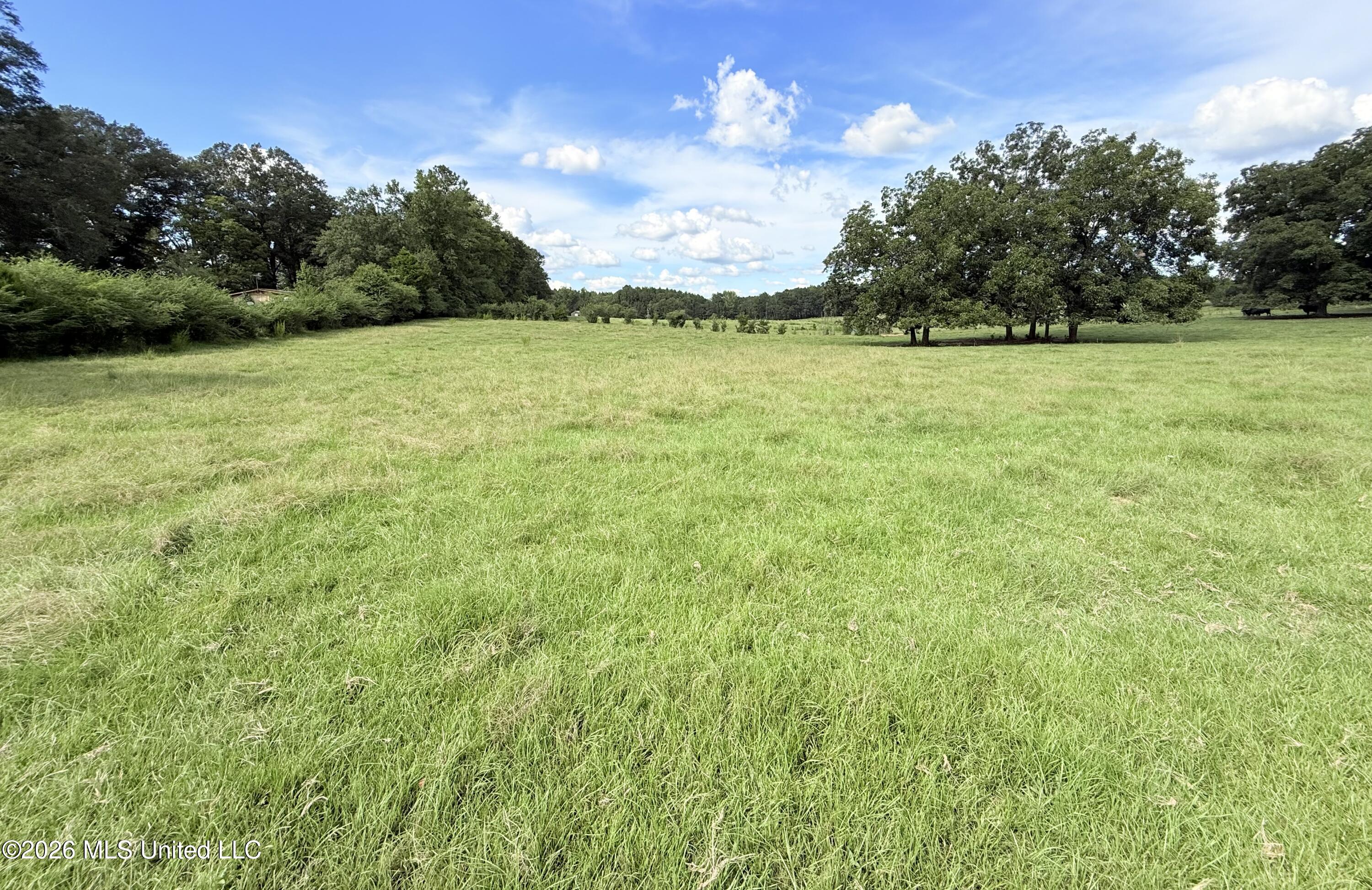 Tbd 1 Montgomery Road Property Photo 1