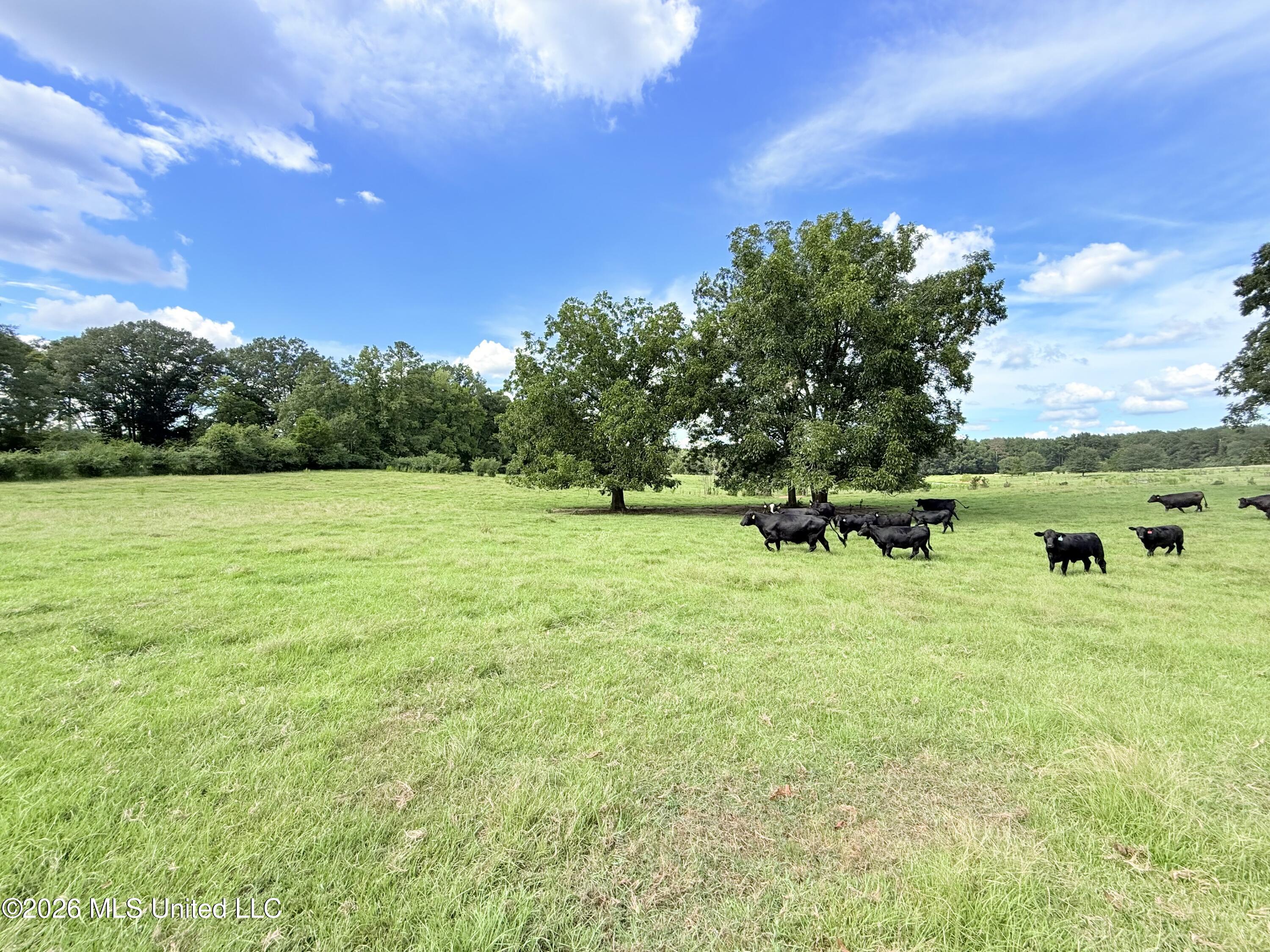 Tbd 1 Montgomery Road Property Photo 2