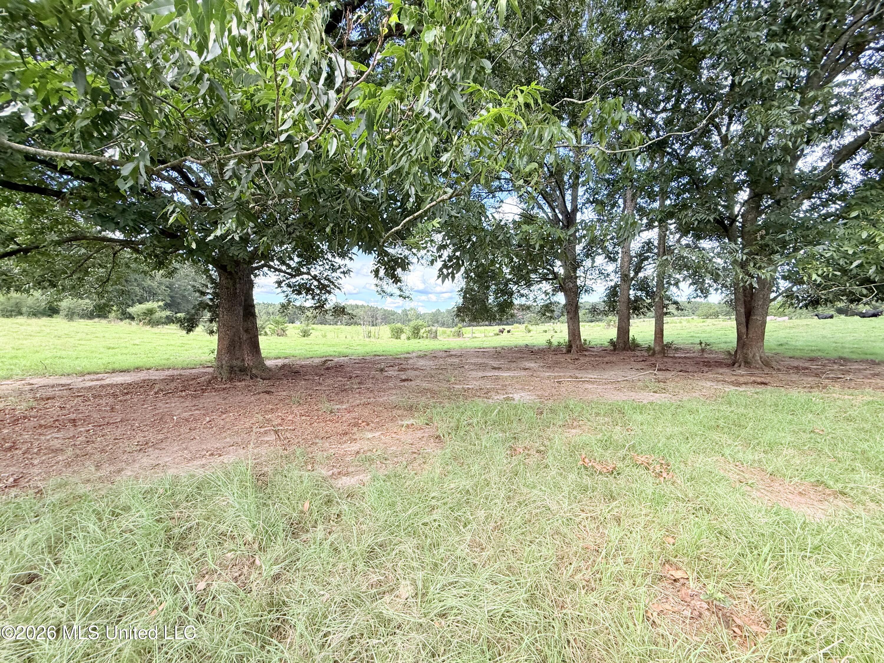 Tbd 1 Montgomery Road Property Photo 3