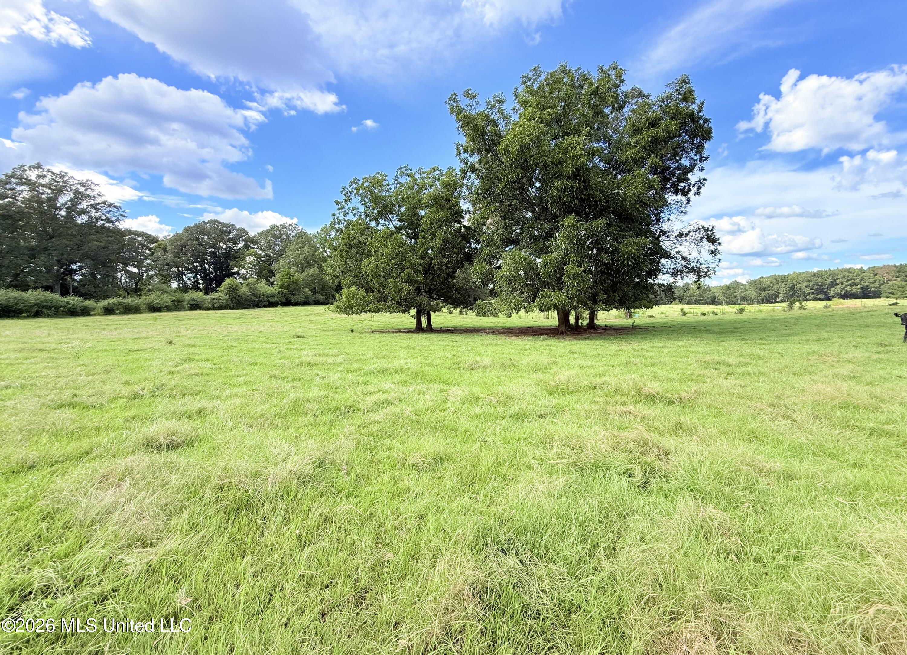 Tbd 1 Montgomery Road Property Photo 4