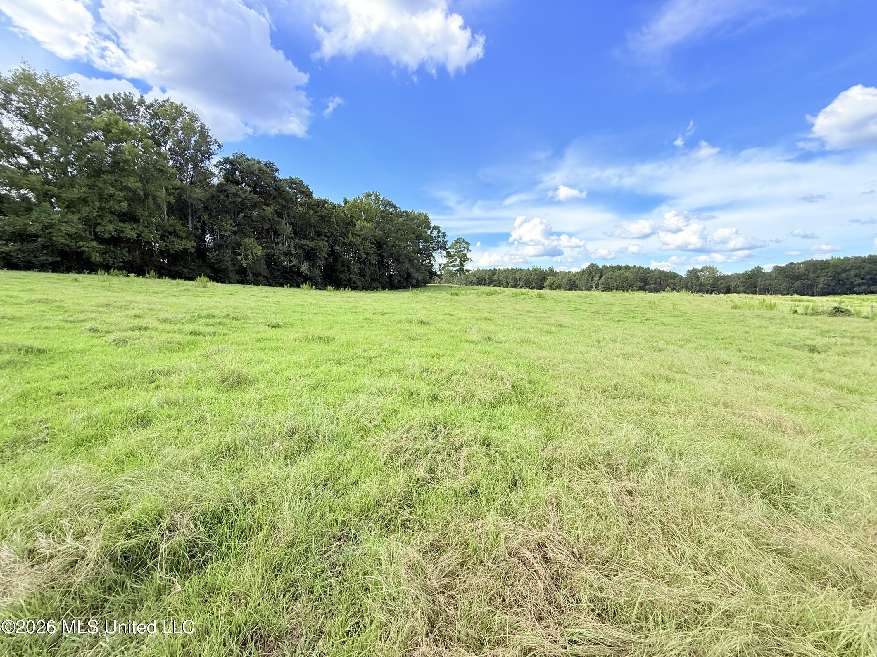 Tbd 1 Montgomery Road Property Photo 5