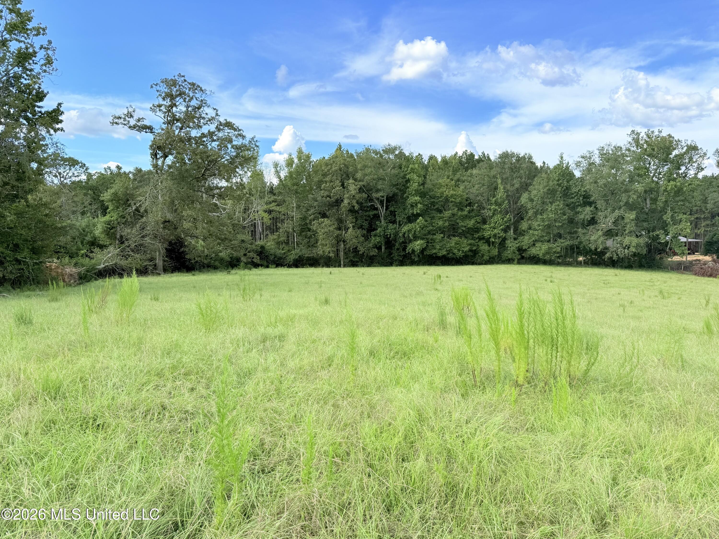 Tbd 1 Montgomery Road Property Photo 6