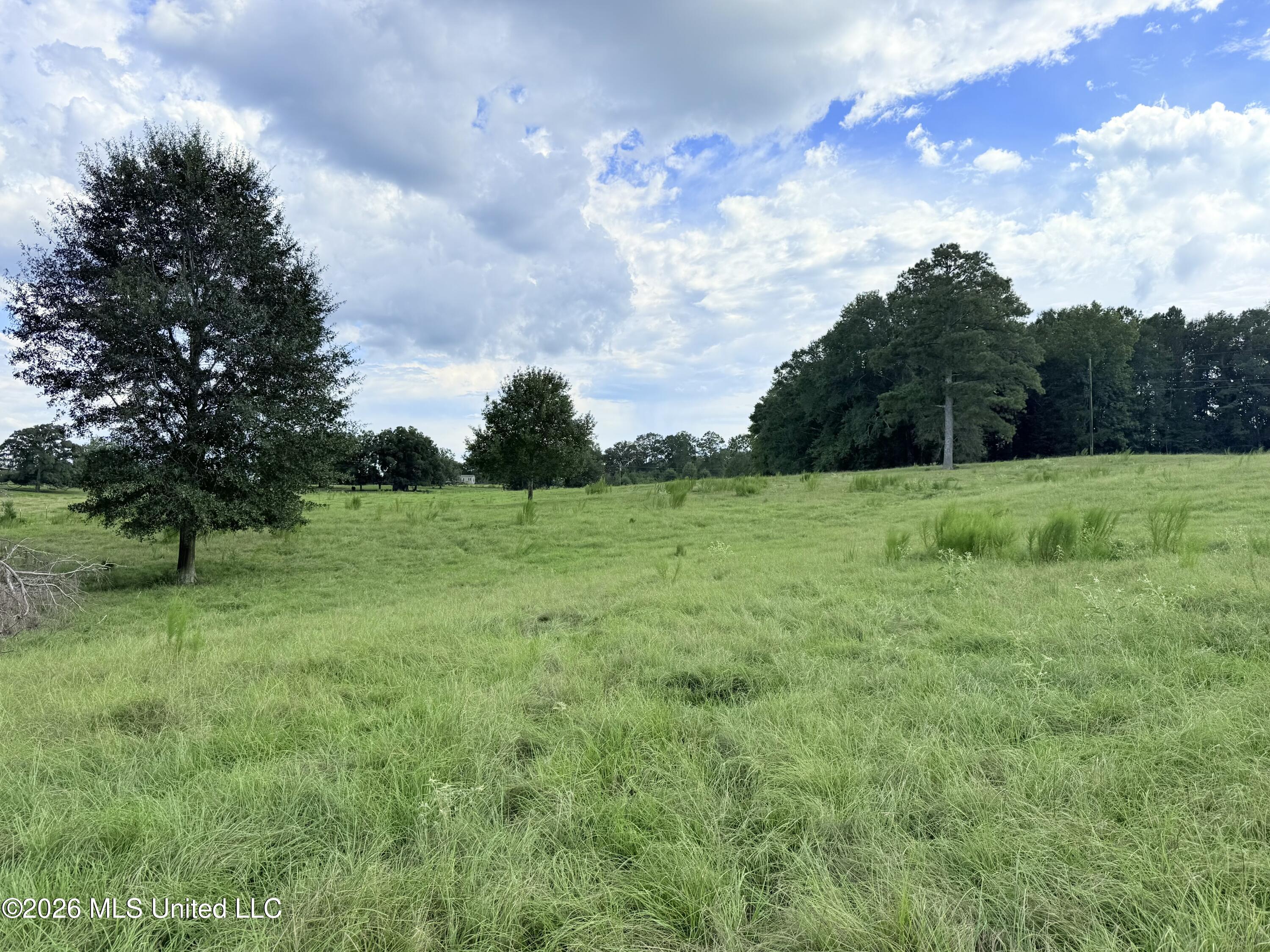 Tbd 1 Montgomery Road Property Photo 7