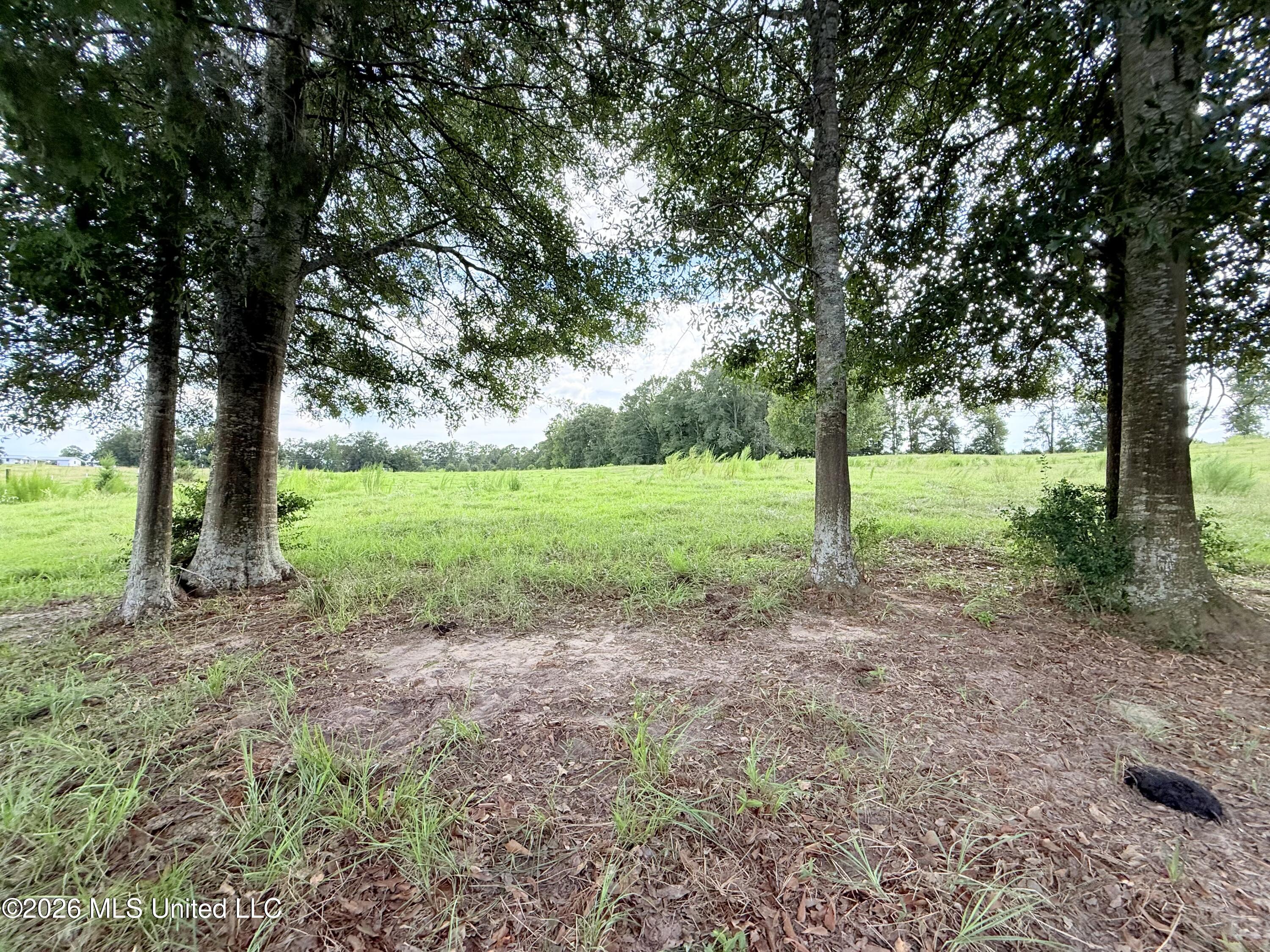 Tbd 1 Montgomery Road Property Photo 8