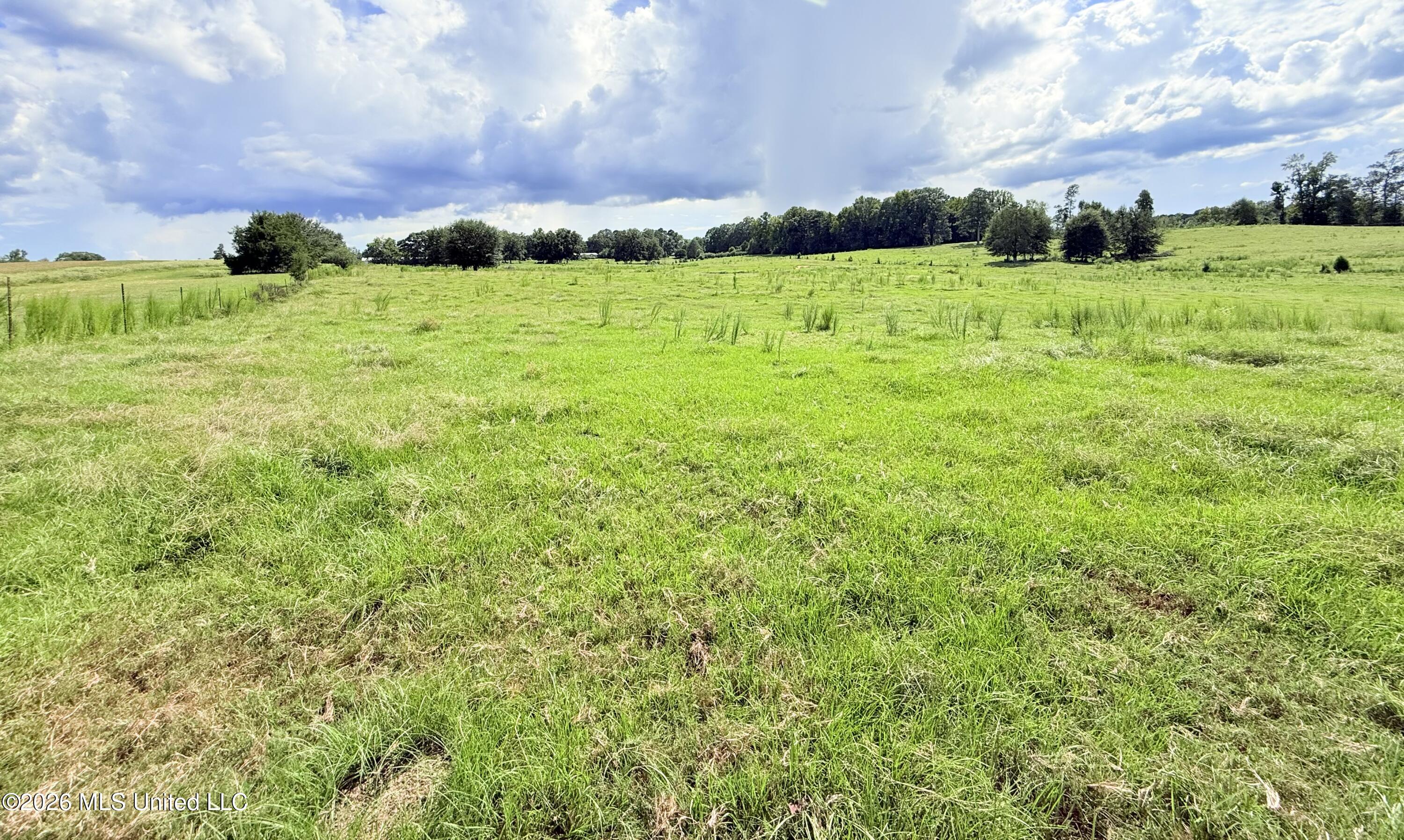 Tbd 2 Montgomery Road Property Photo 3