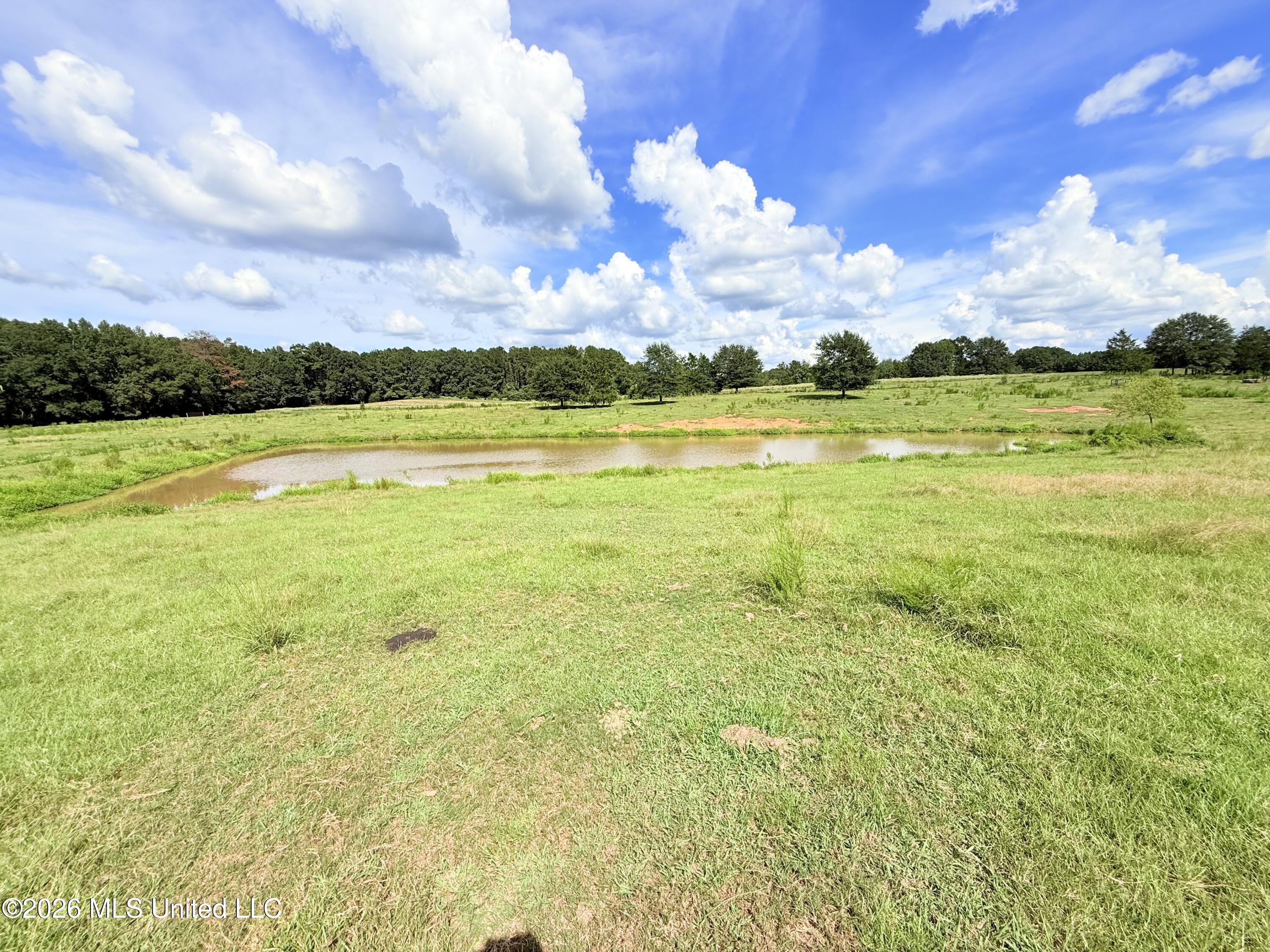 Tbd 2 Montgomery Road Property Photo 5