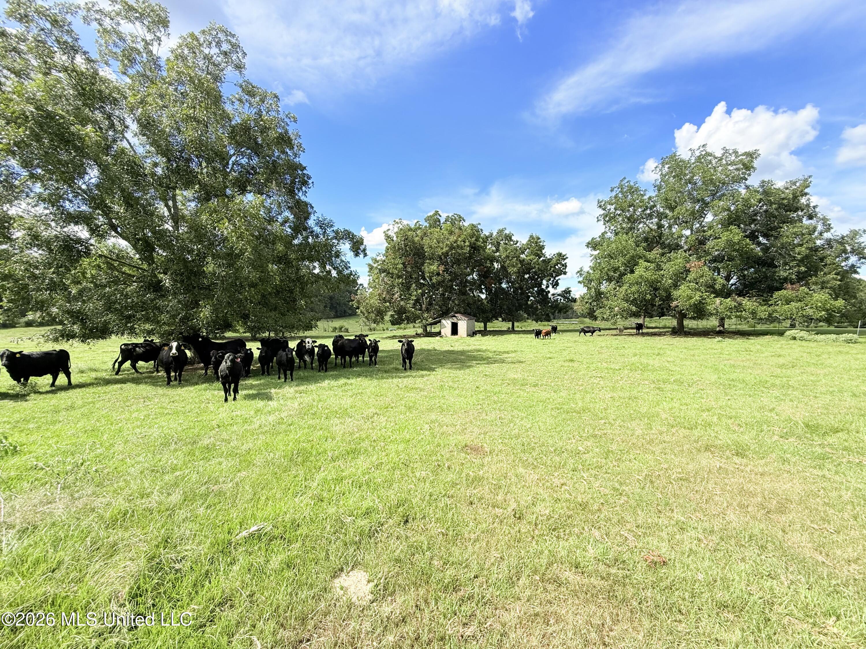 Tbd 2 Montgomery Road Property Photo 6