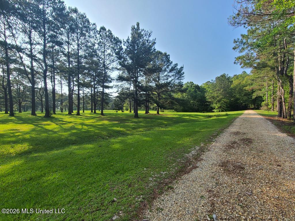 Tbd Thompson Lane Property Photo 2