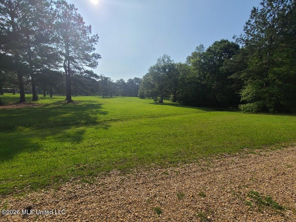Tbd Thompson Lane Property Photo 3
