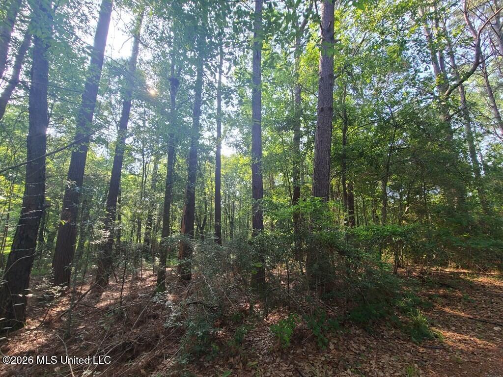 Tbd Thompson Lane Property Photo 5