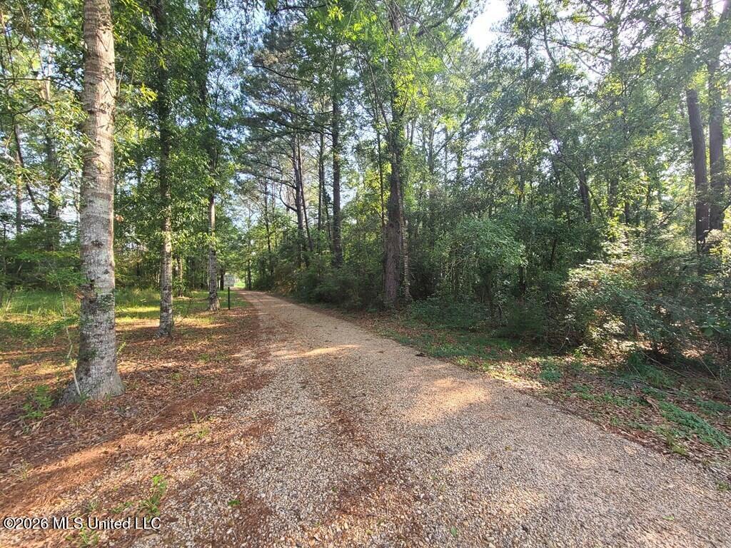 Tbd Thompson Lane Property Photo 6