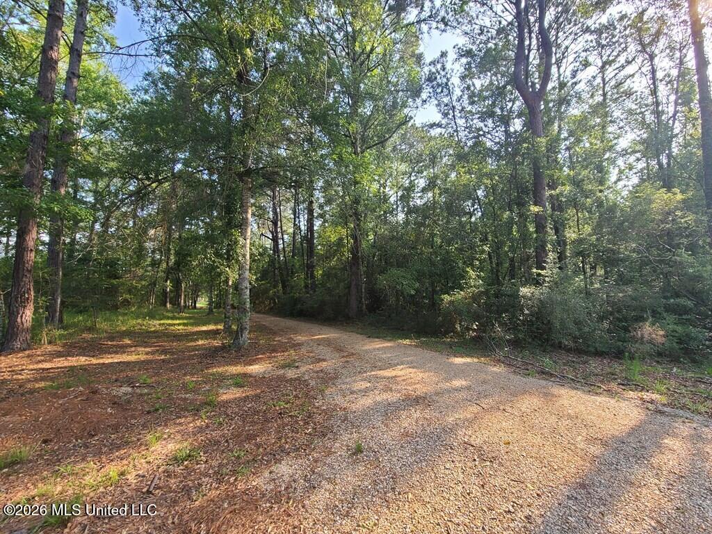Tbd Thompson Lane Property Photo 7