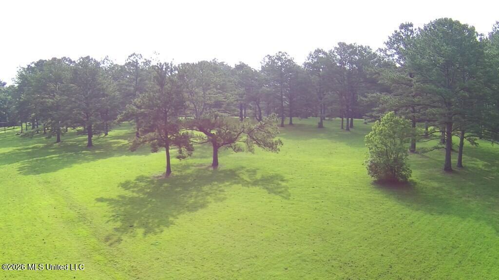 Tbd Thompson Lane Property Photo 11