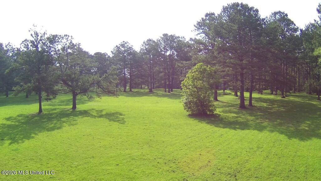 Tbd Thompson Lane Property Photo 12