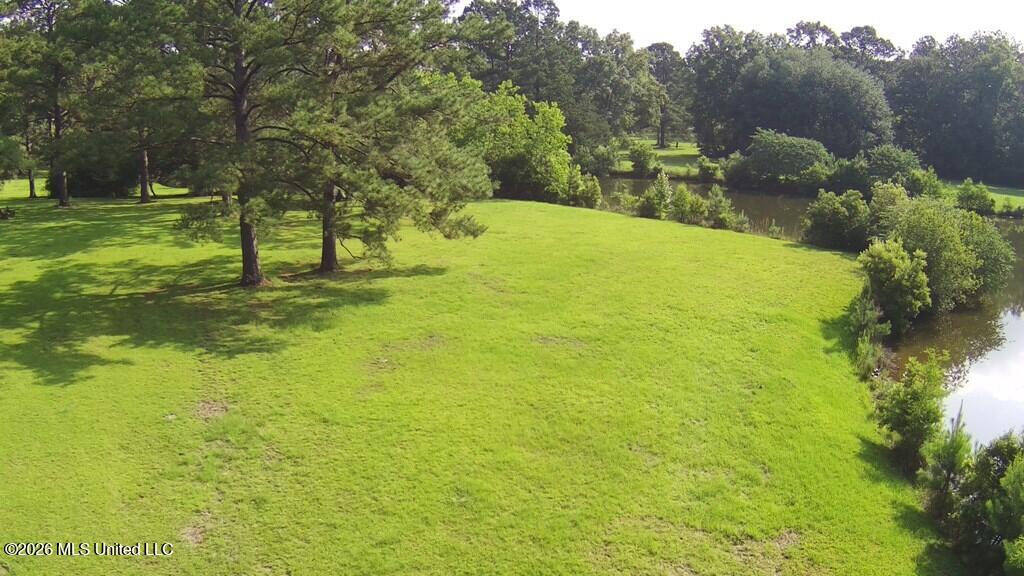 Tbd Thompson Lane Property Photo 13