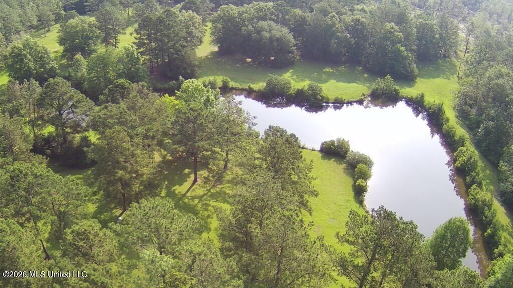 Tbd Thompson Lane Property Photo 18