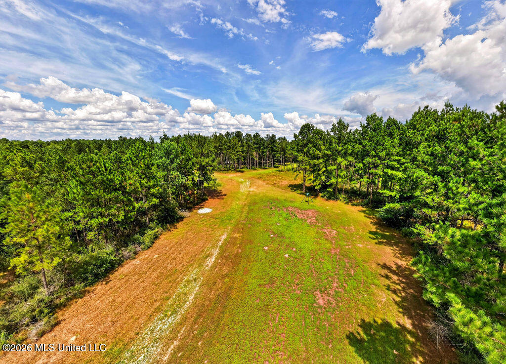 Wire Road Property Photo 11