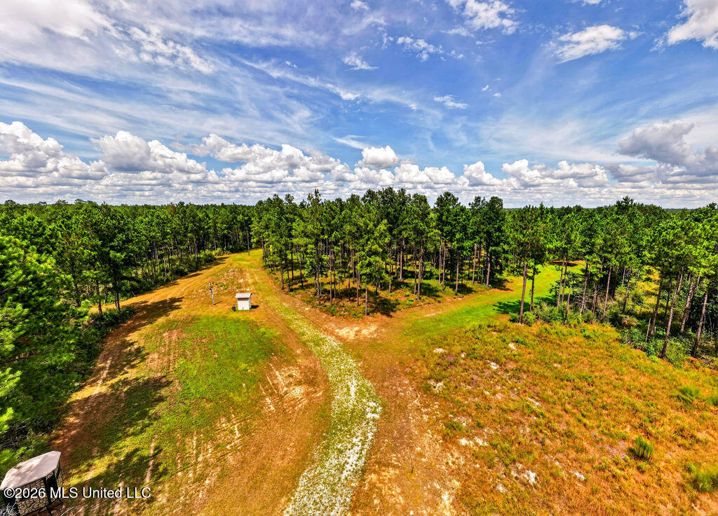 Wire Road Property Photo 12