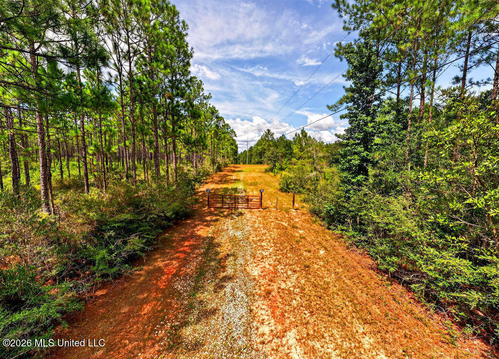 Wire Road Property Photo 13
