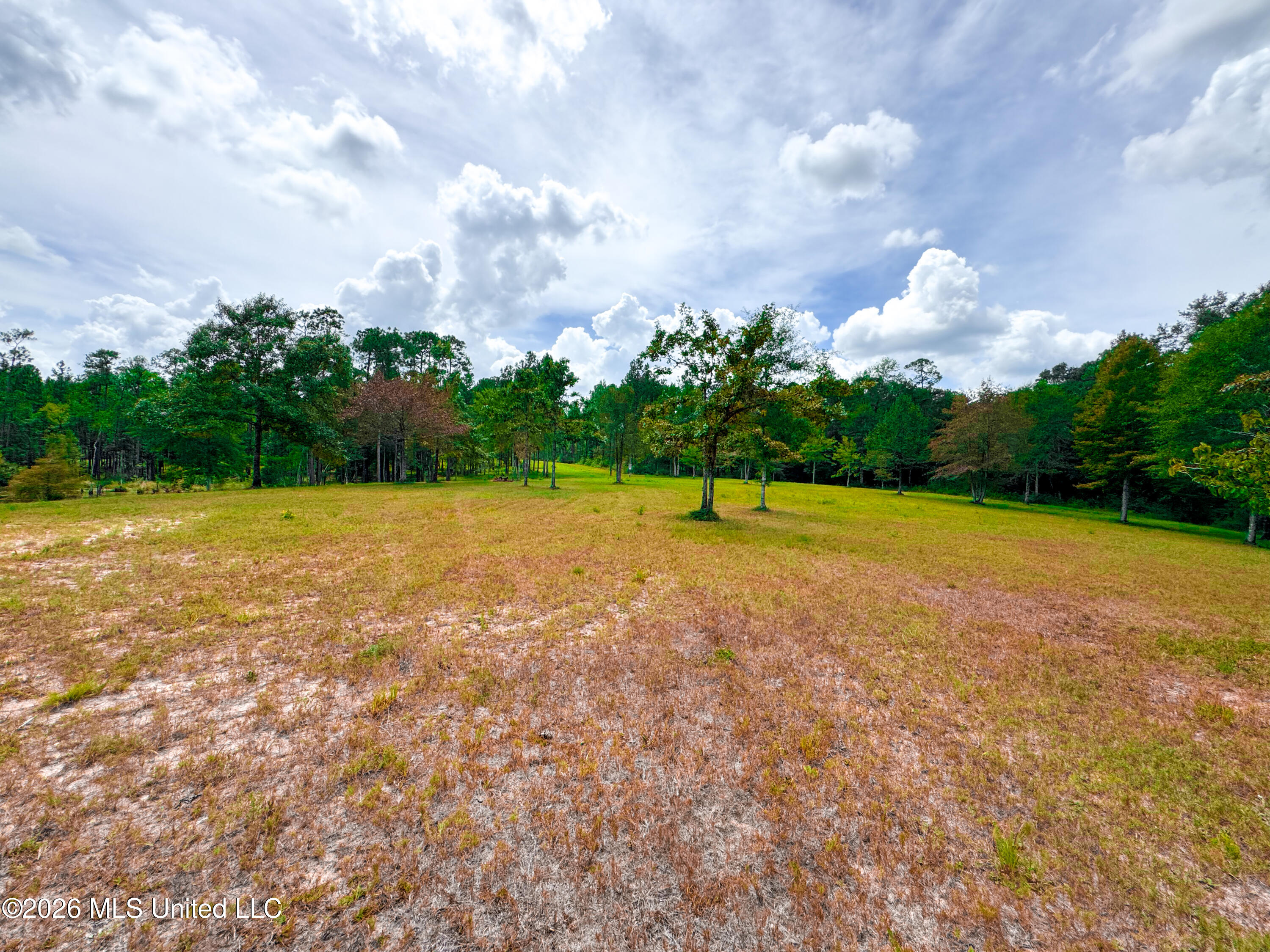Wire Road Property Photo 14