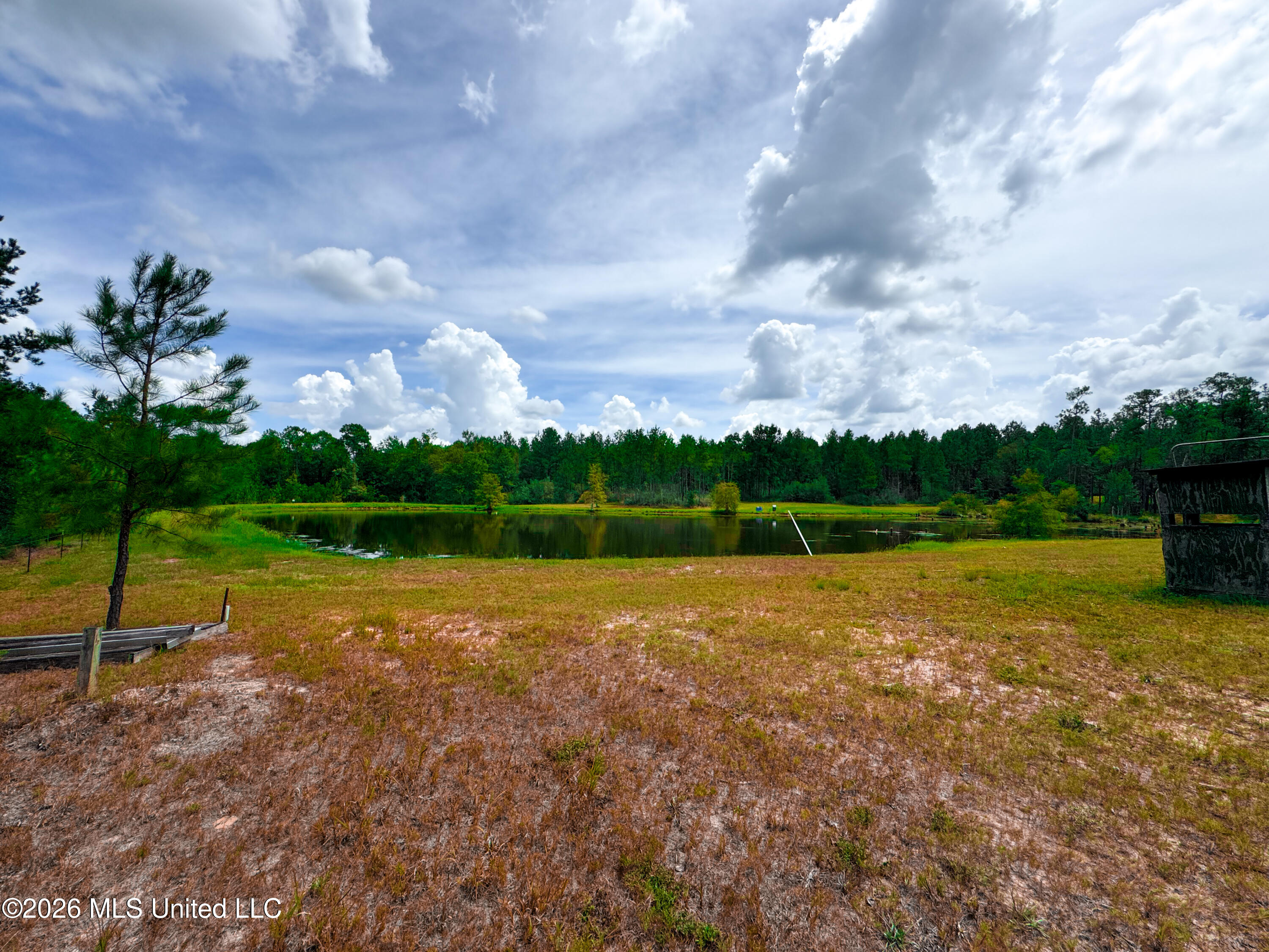 Wire Road Property Photo 15