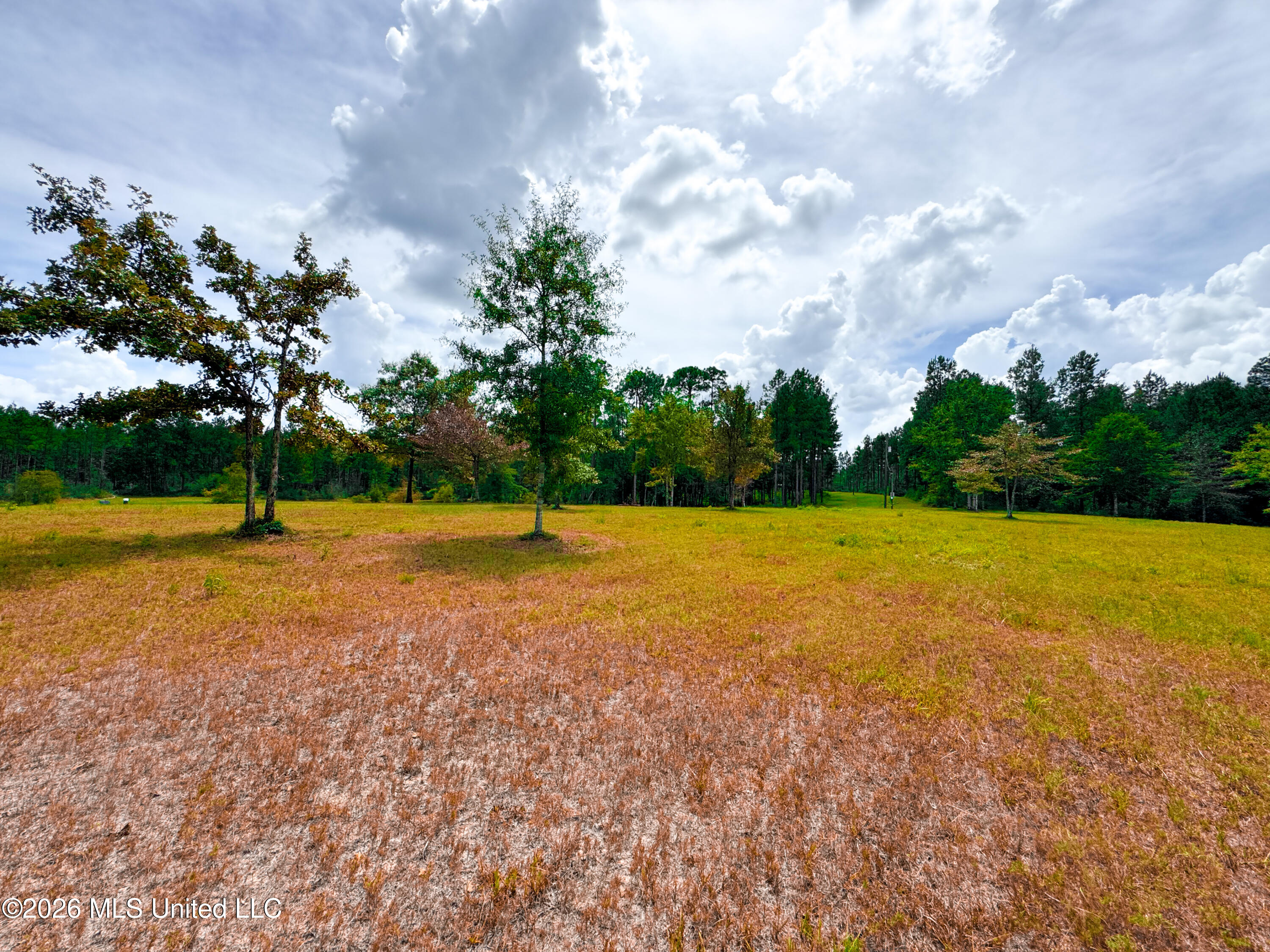 Wire Road Property Photo 17