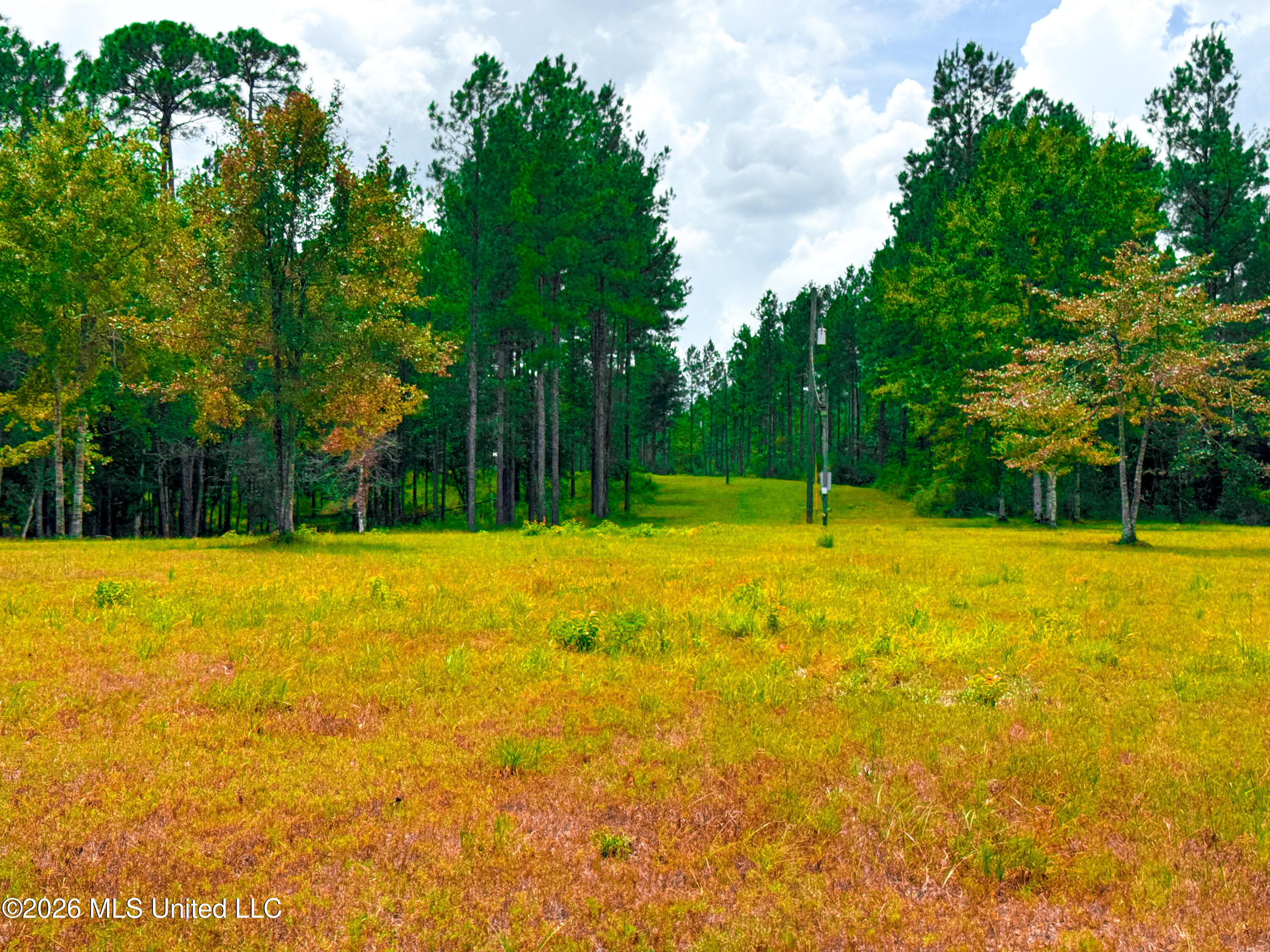 Wire Road Property Photo 18