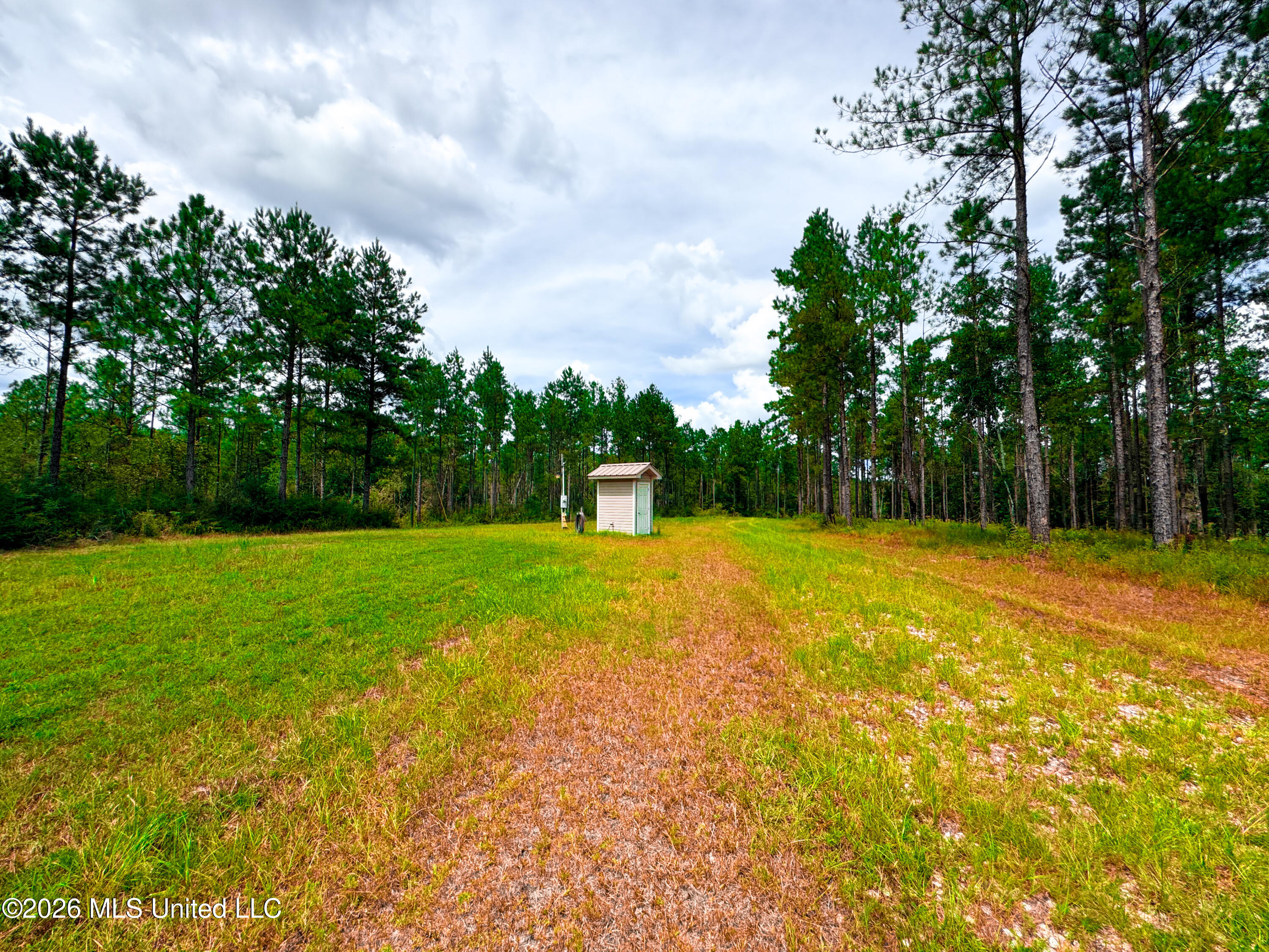 Wire Road Property Photo 22