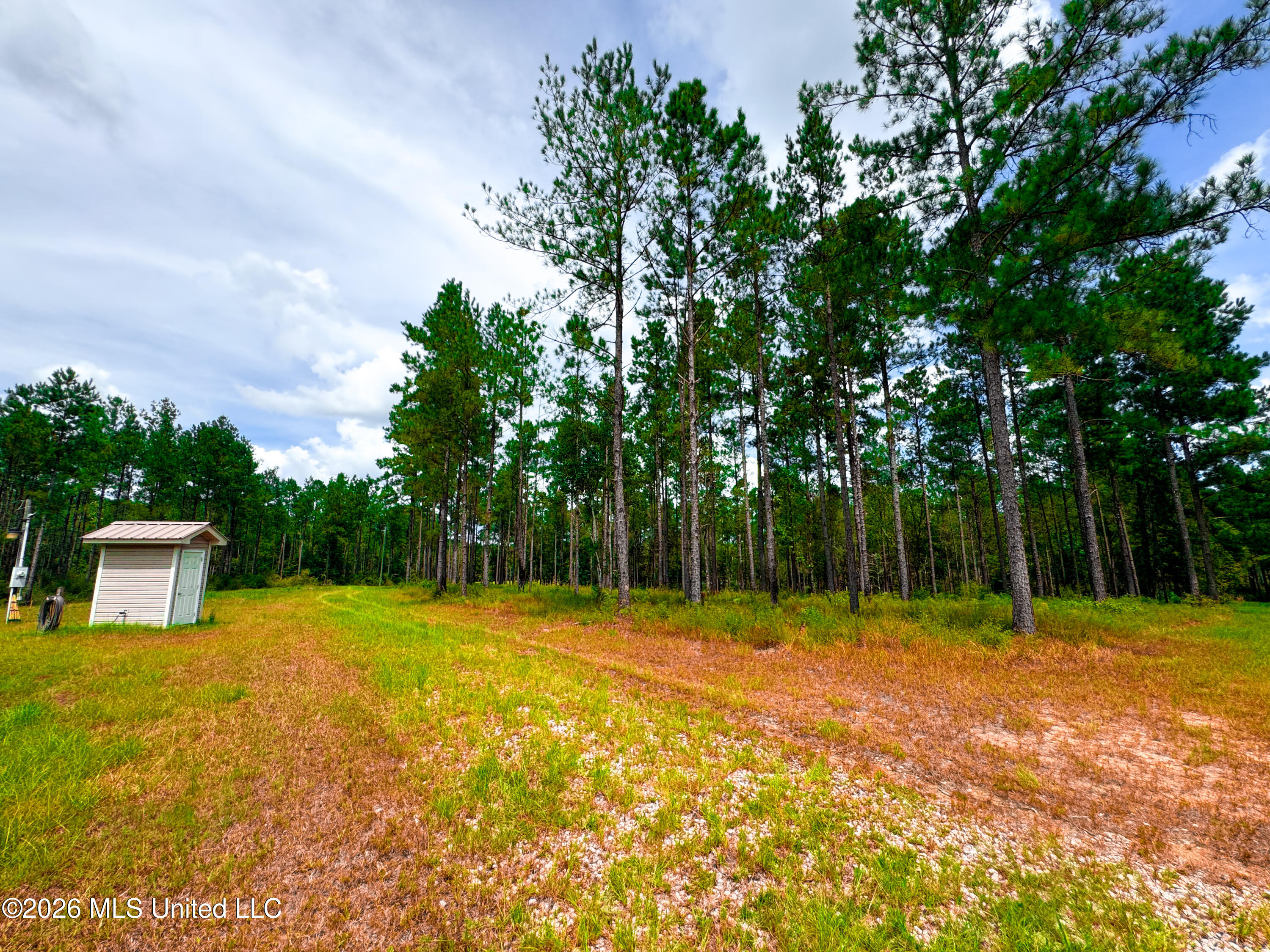 Wire Road Property Photo 23
