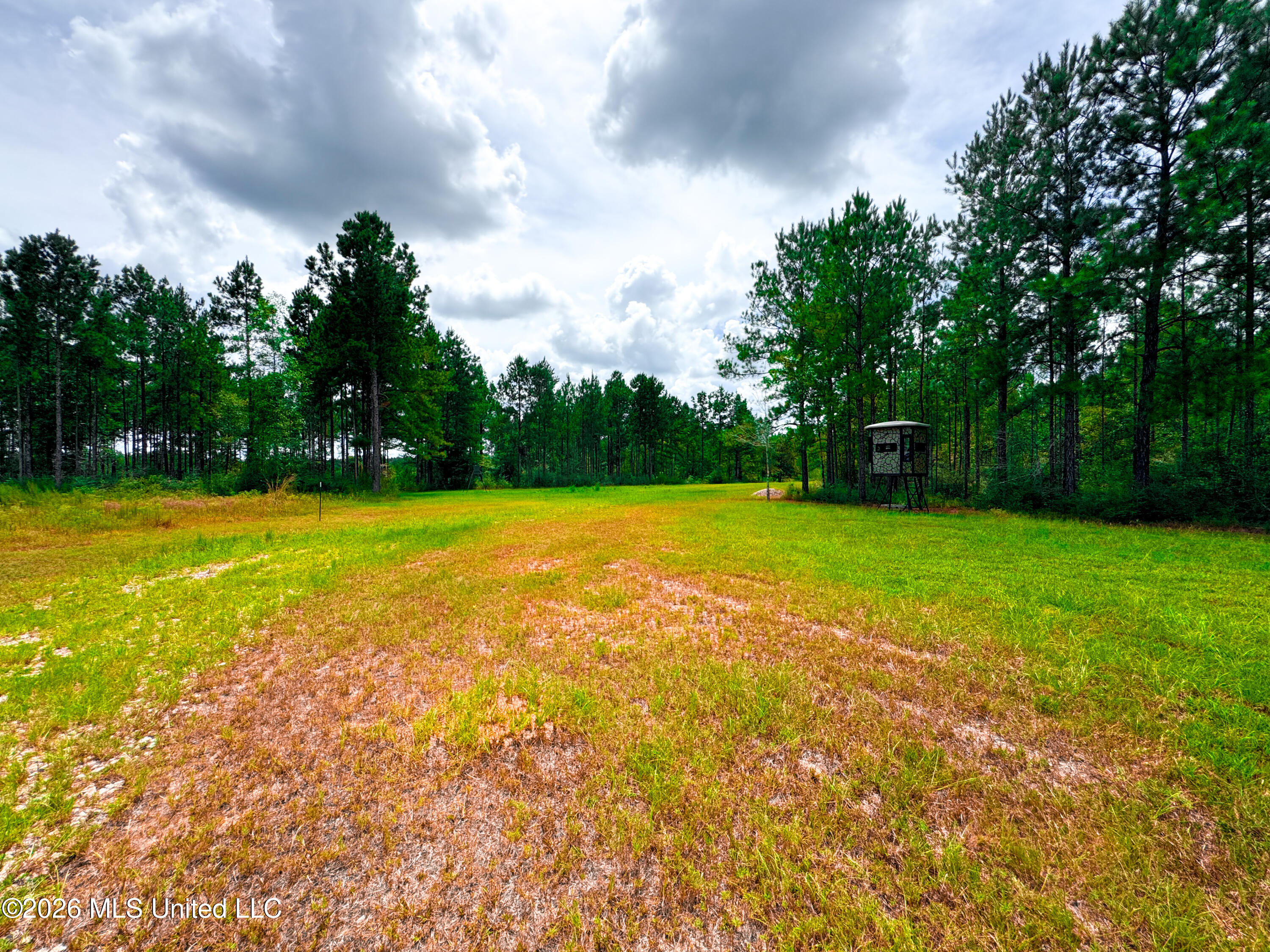 Wire Road Property Photo 24