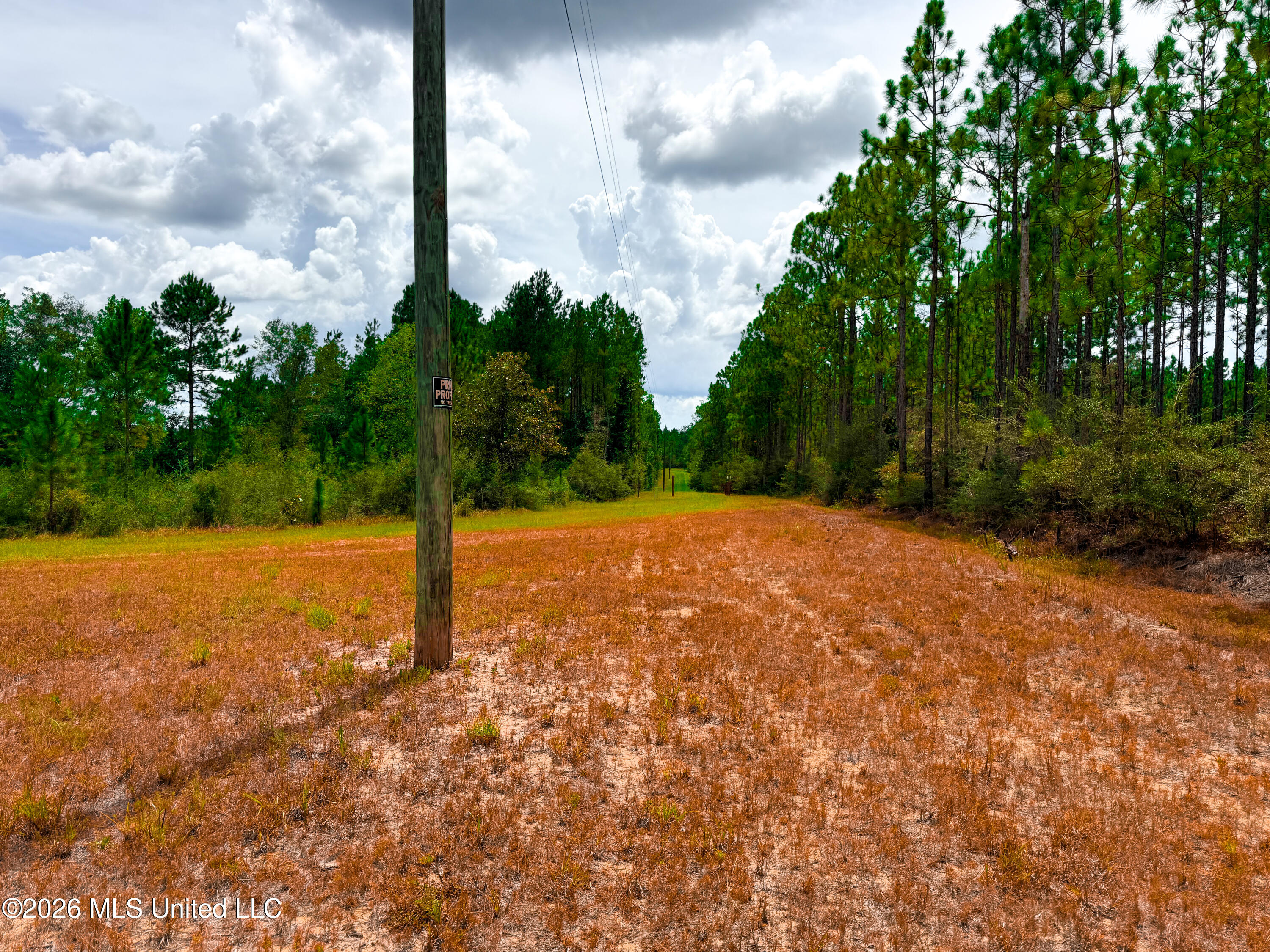 Wire Road Property Photo 25