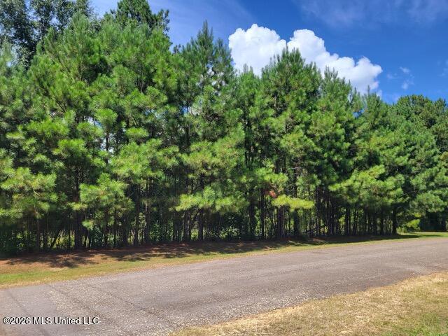 Park Property Photo 3
