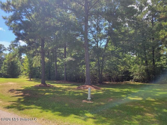 Park Property Photo 4