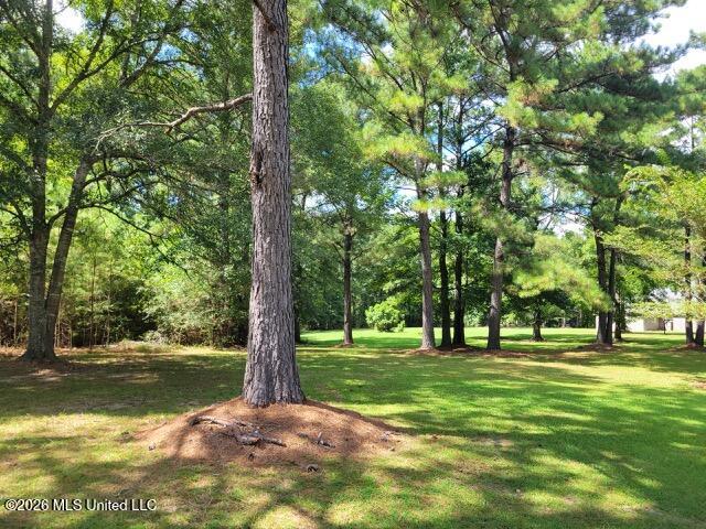 Park Property Photo 5