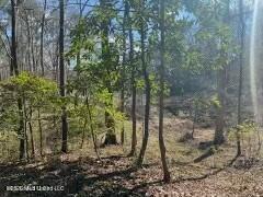 Turkey Creek Road Property Photo 3