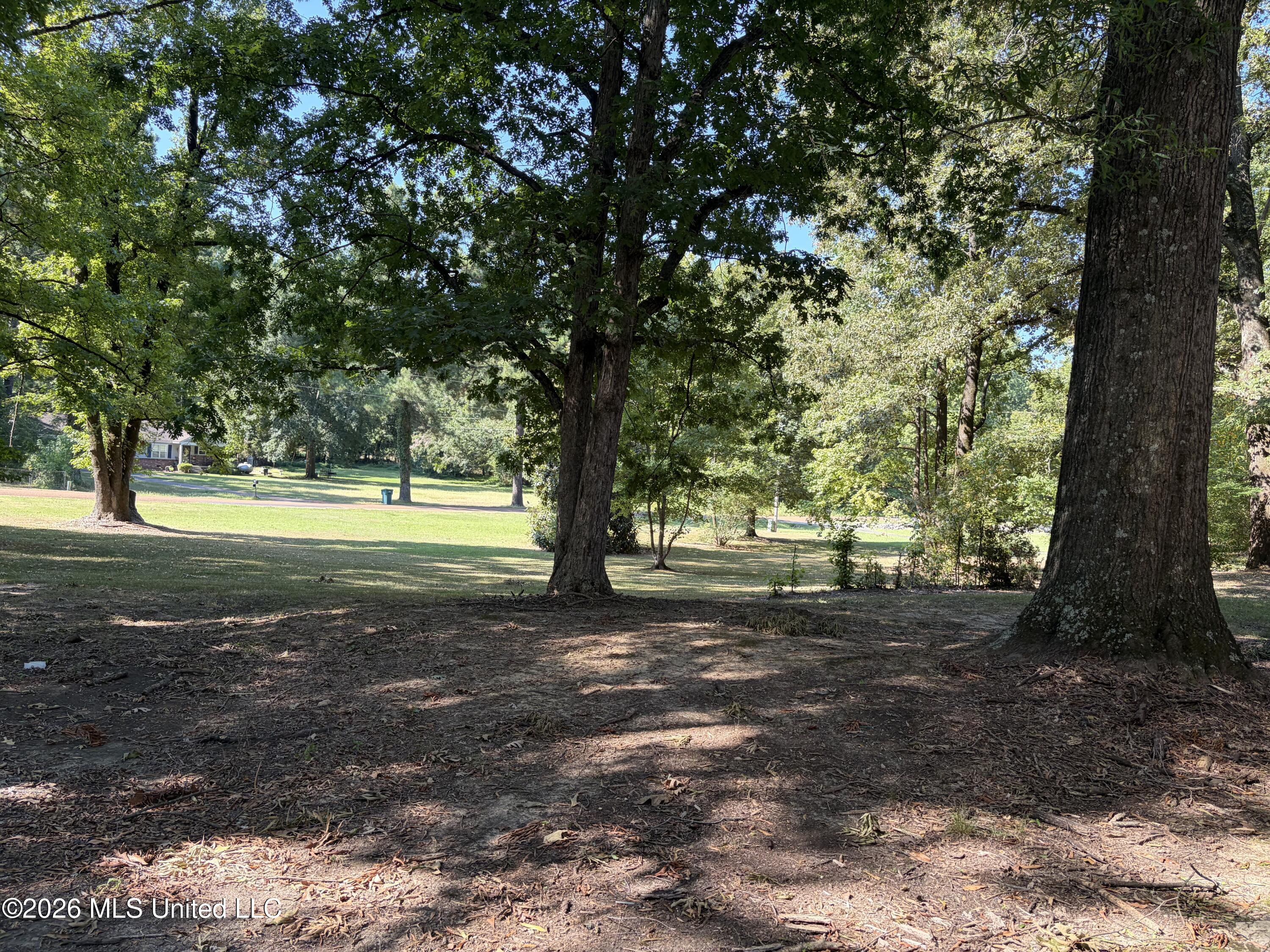 3630 Debbie Drive Property Photo 4