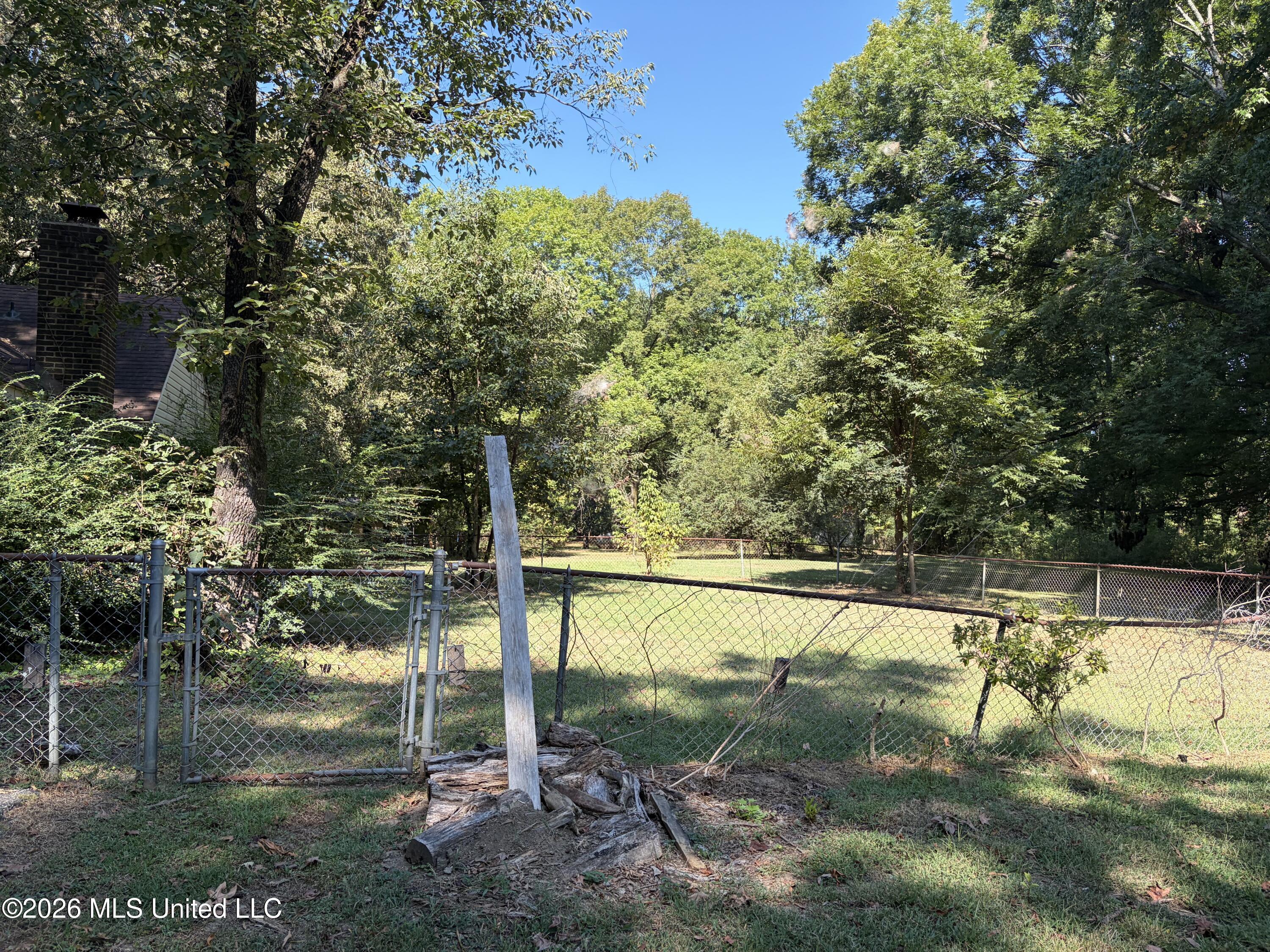 3630 Debbie Drive Property Photo 5