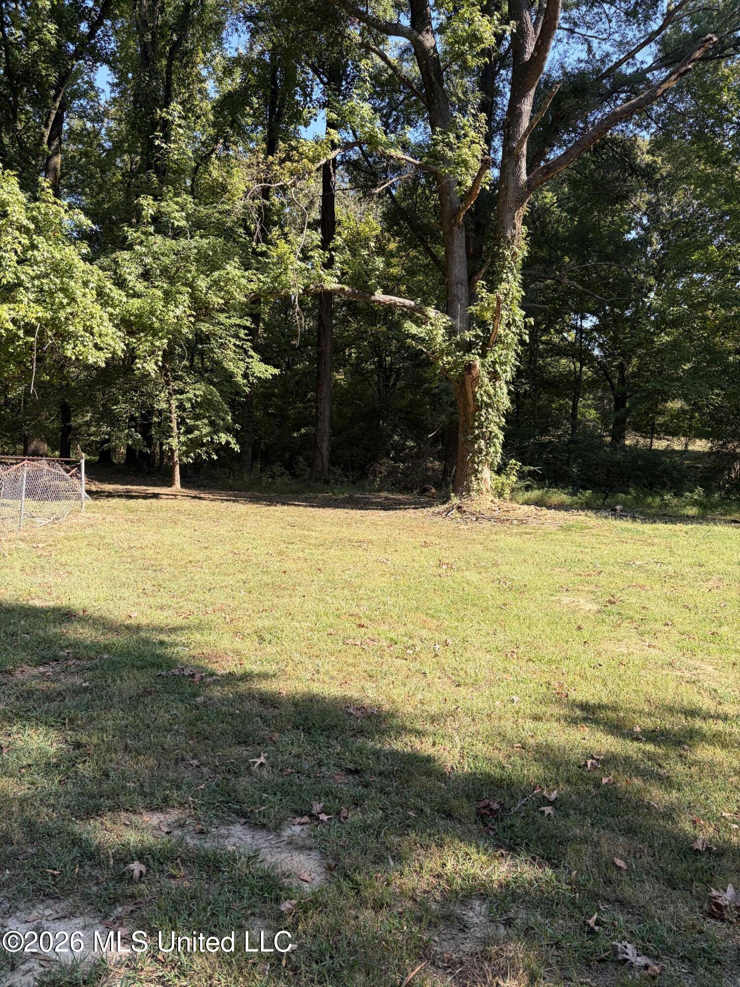 3630 Debbie Drive Property Photo 6