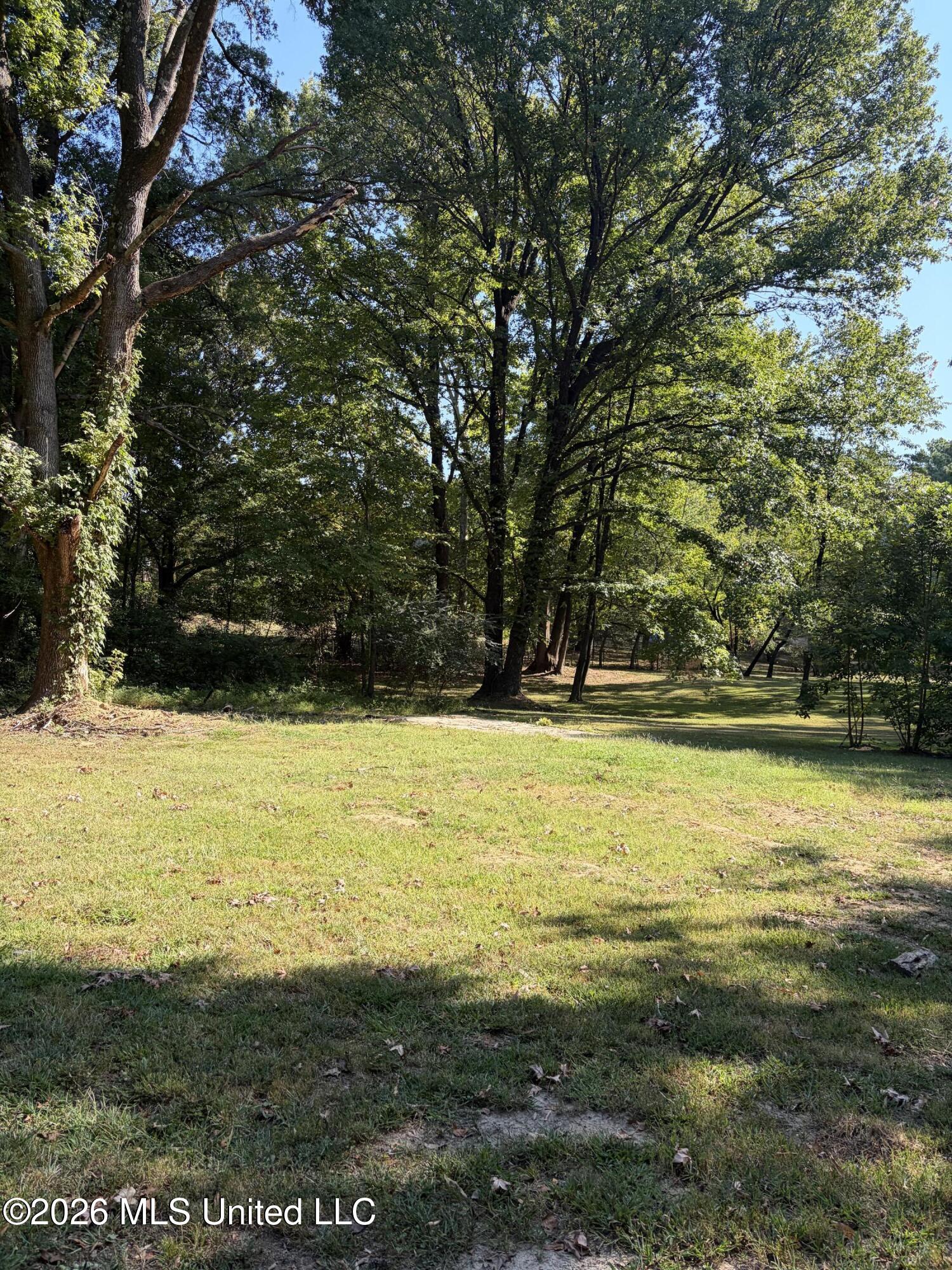 3630 Debbie Drive Property Photo 7