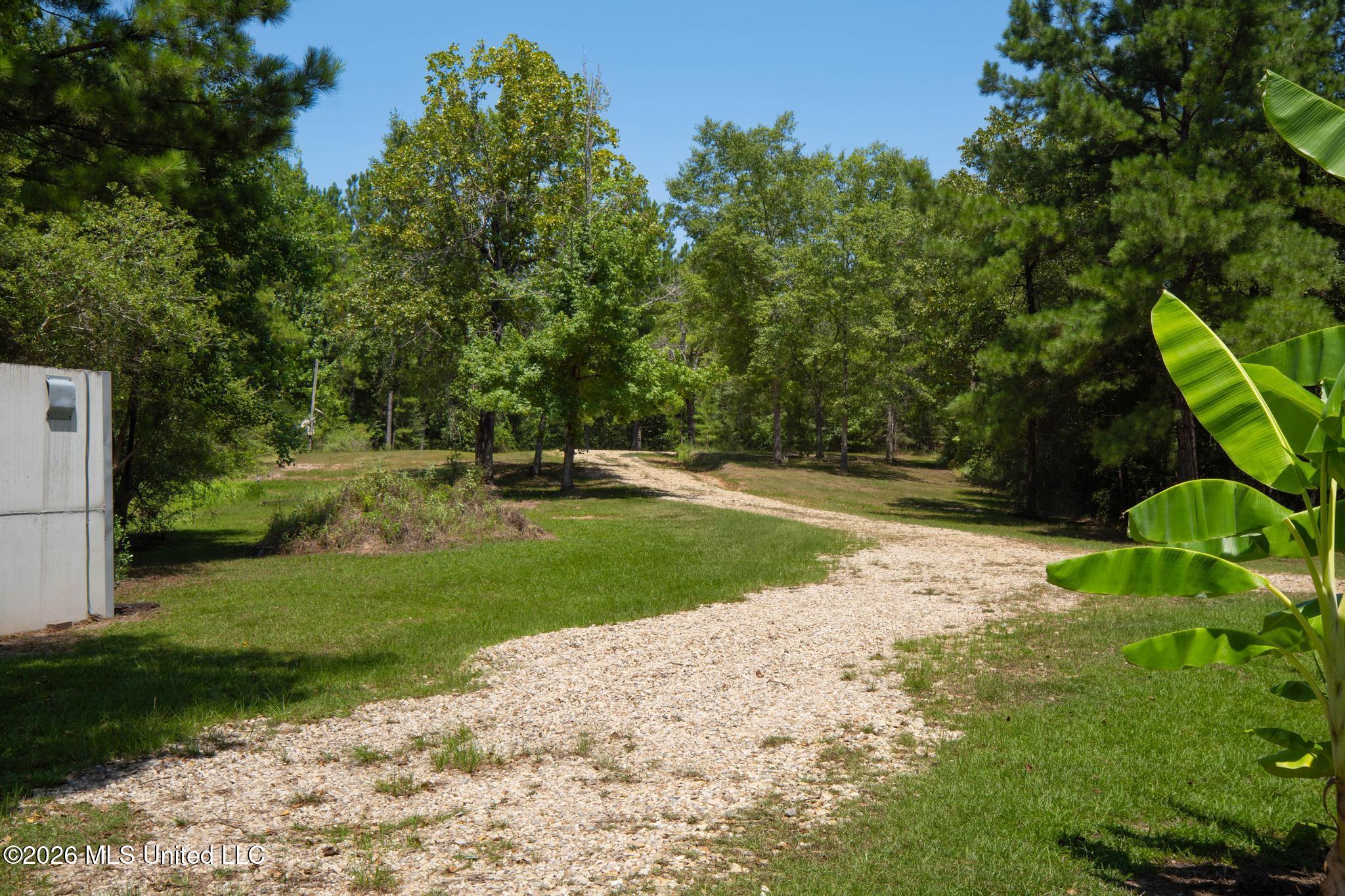 51 Rock Road Property Photo 17