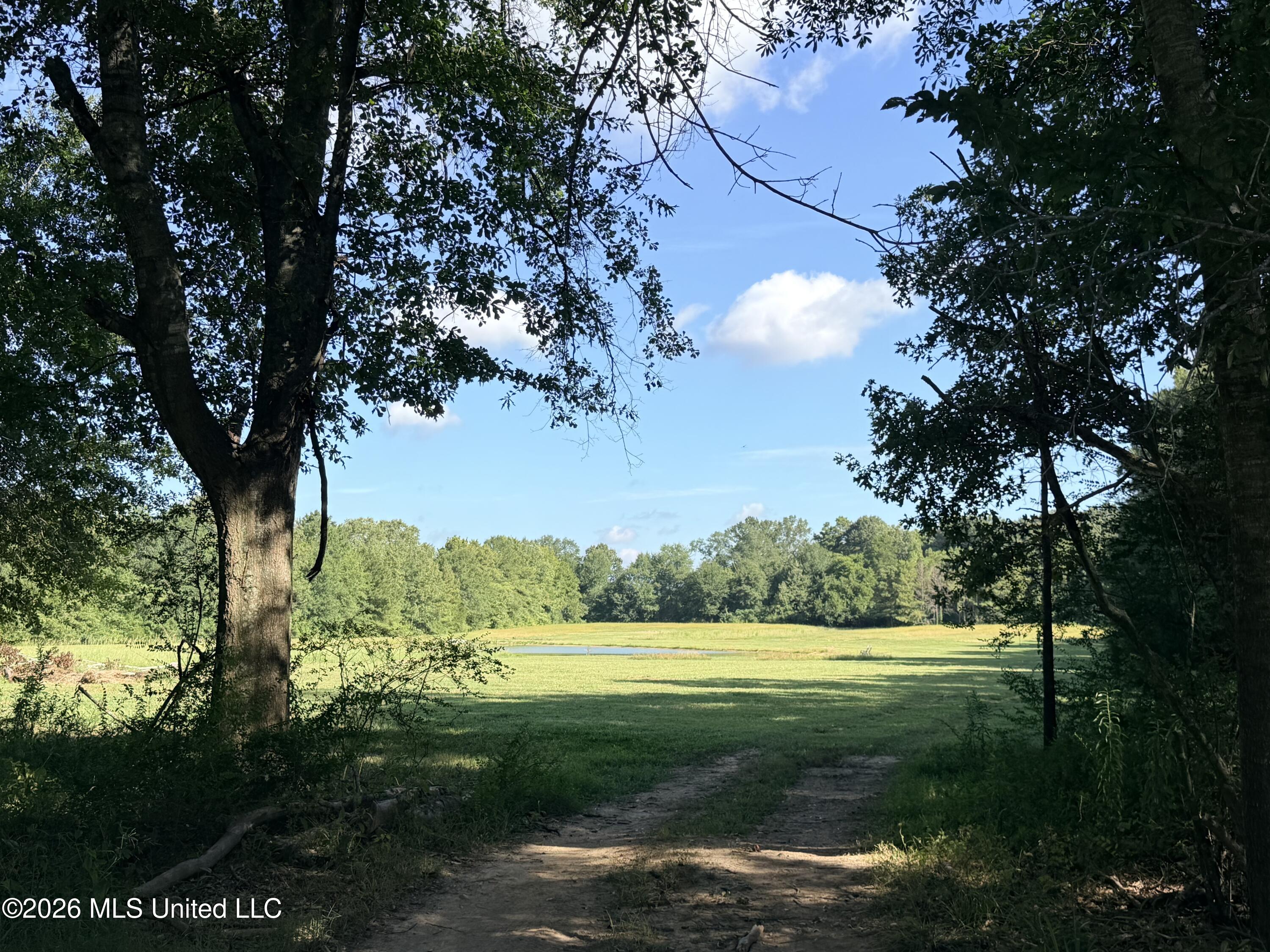 232 Renfroe Road Property Photo 18
