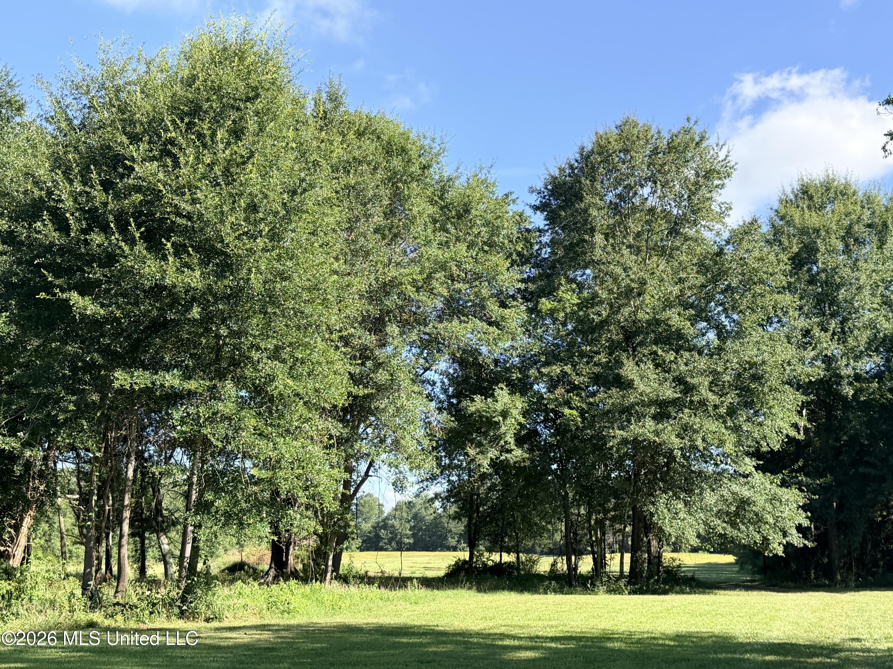 232 Renfroe Road Property Photo 19