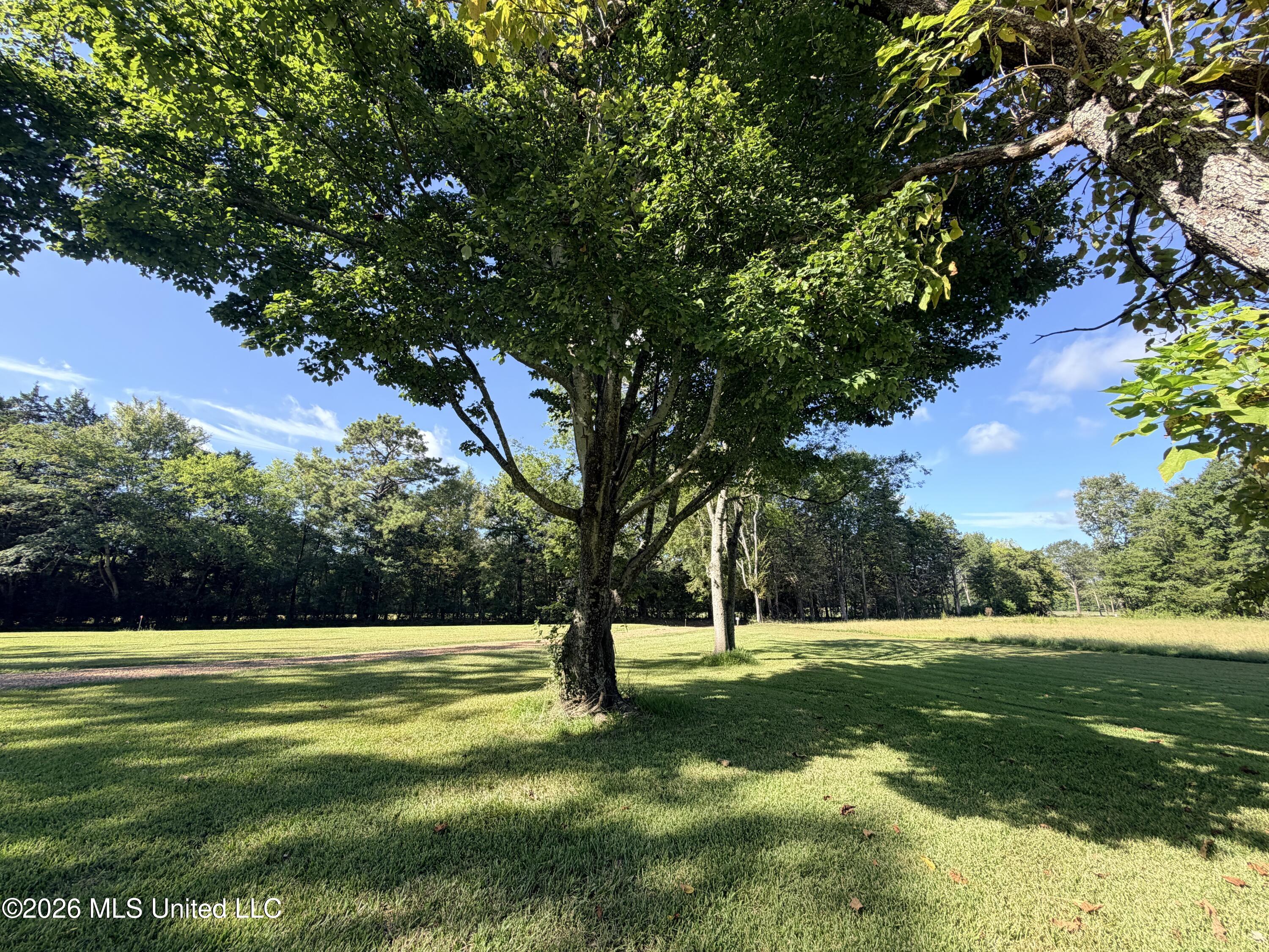 232 Renfroe Road Property Photo 20