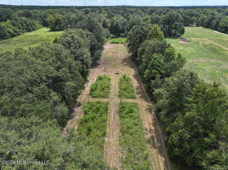 232 Renfroe Road Property Photo 39