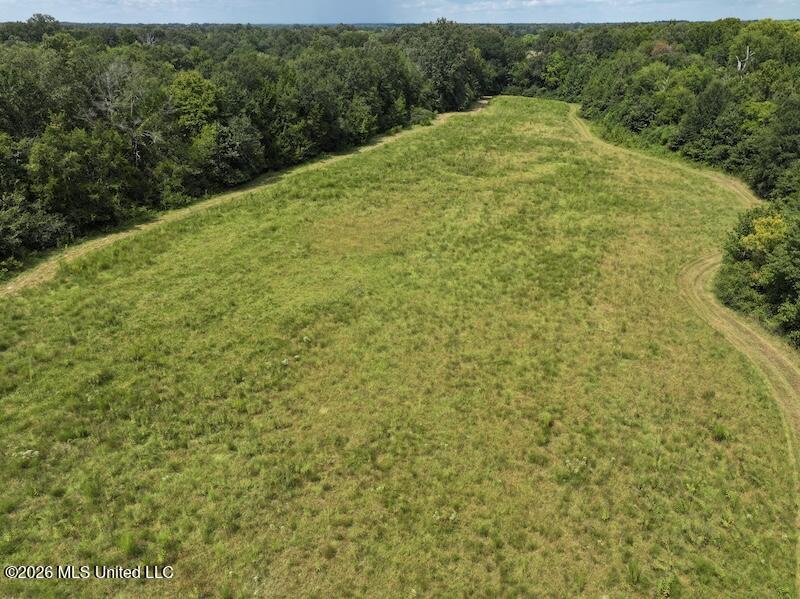 232 Renfroe Road Property Photo 44